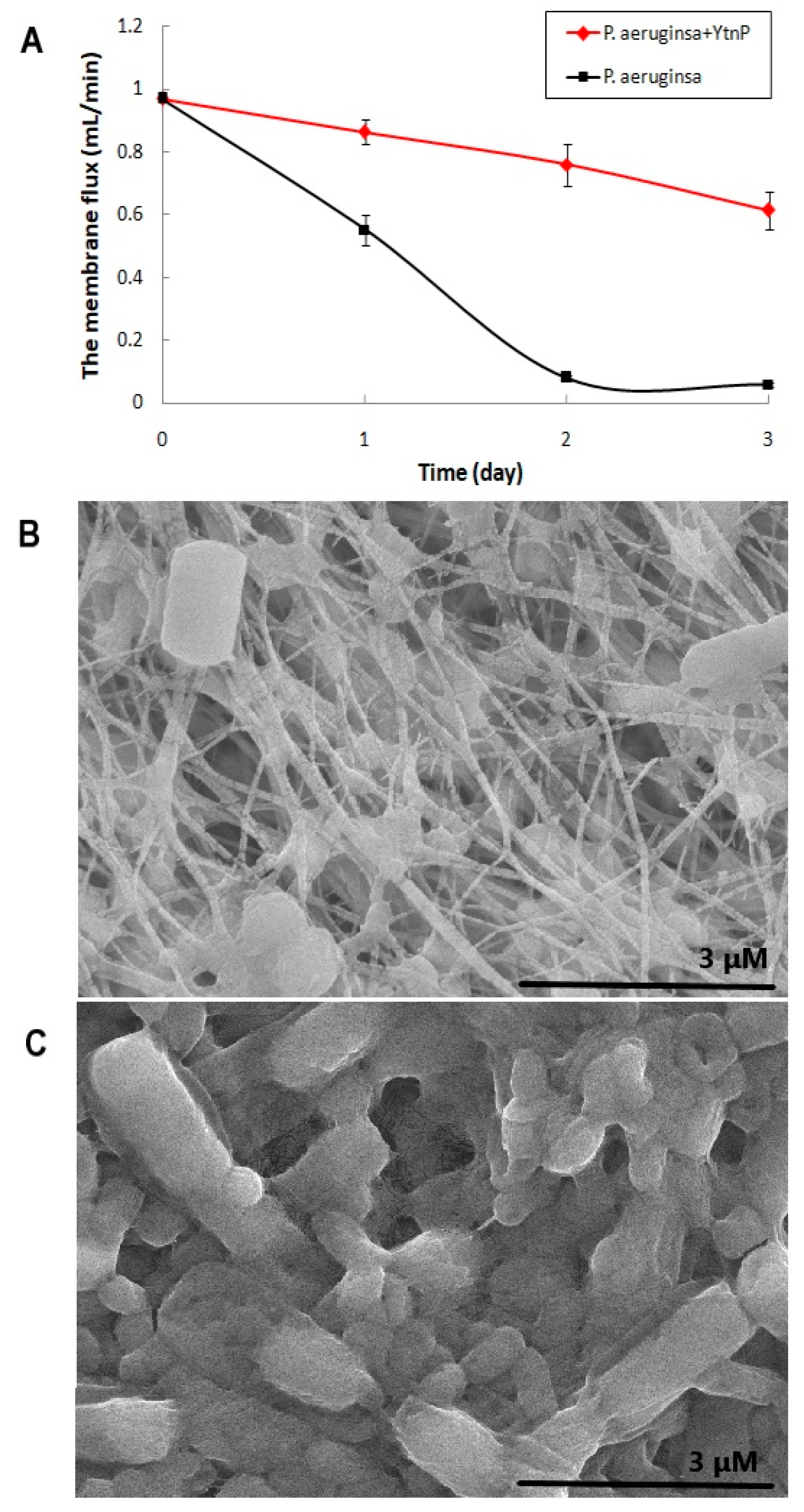 Marinedrugs 19 00225 g005