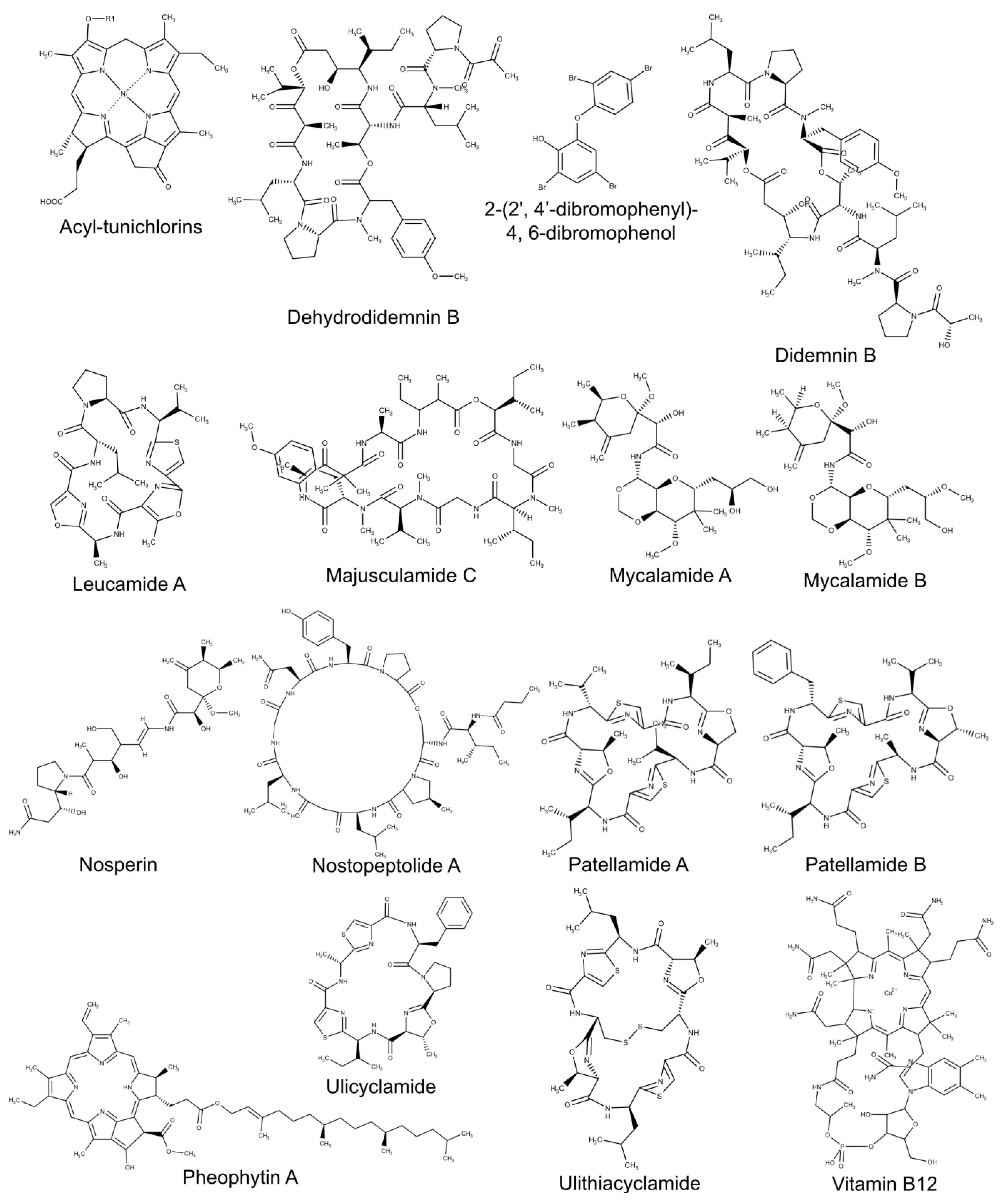 Marinedrugs 19 00227 g002