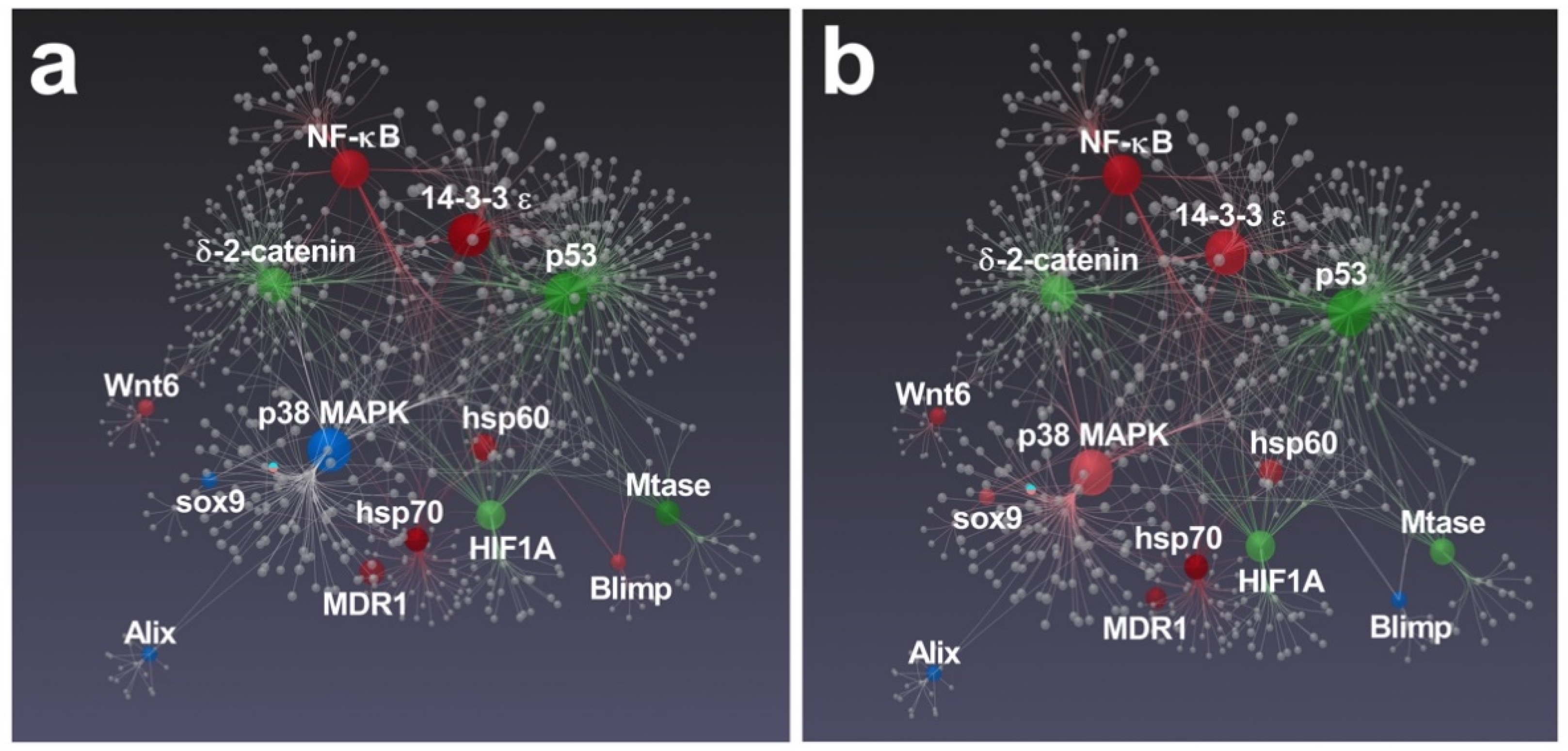 Marinedrugs 19 00230 g006