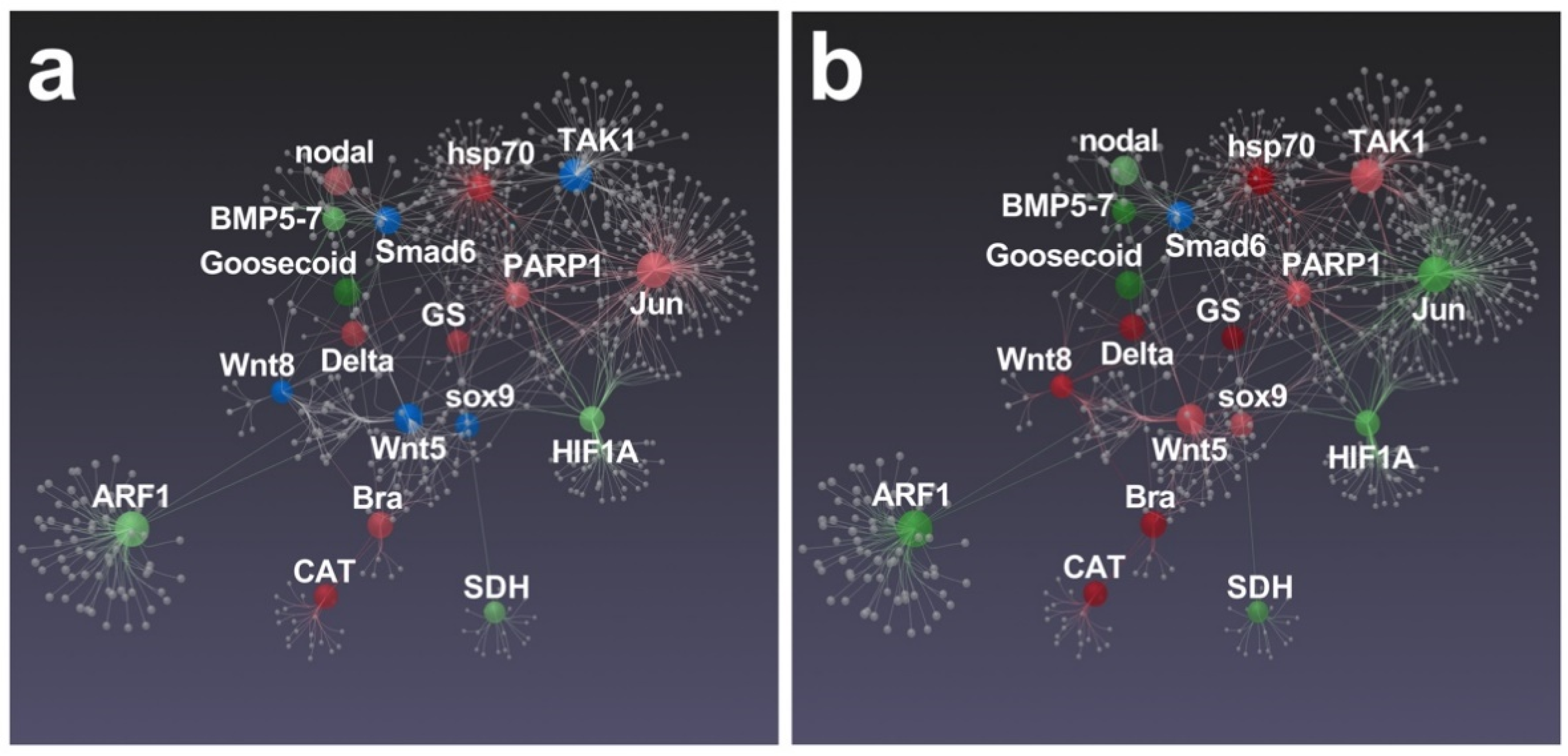 Marinedrugs 19 00230 g008