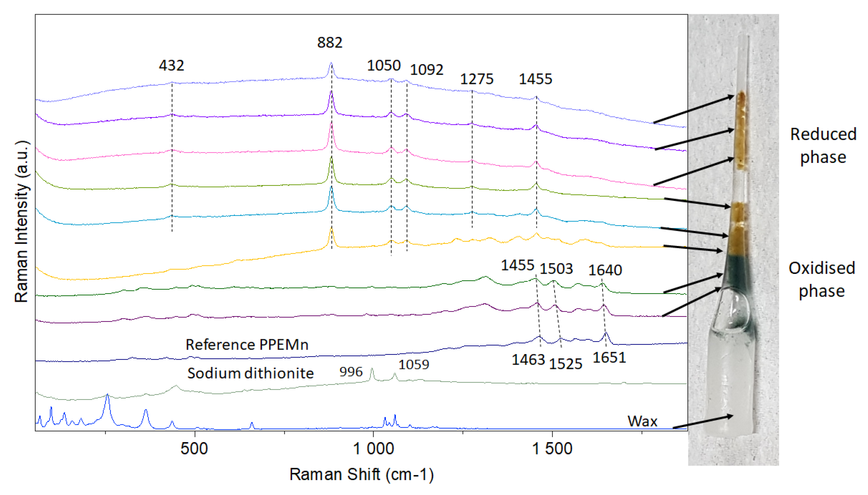 Marinedrugs 19 00231 g008