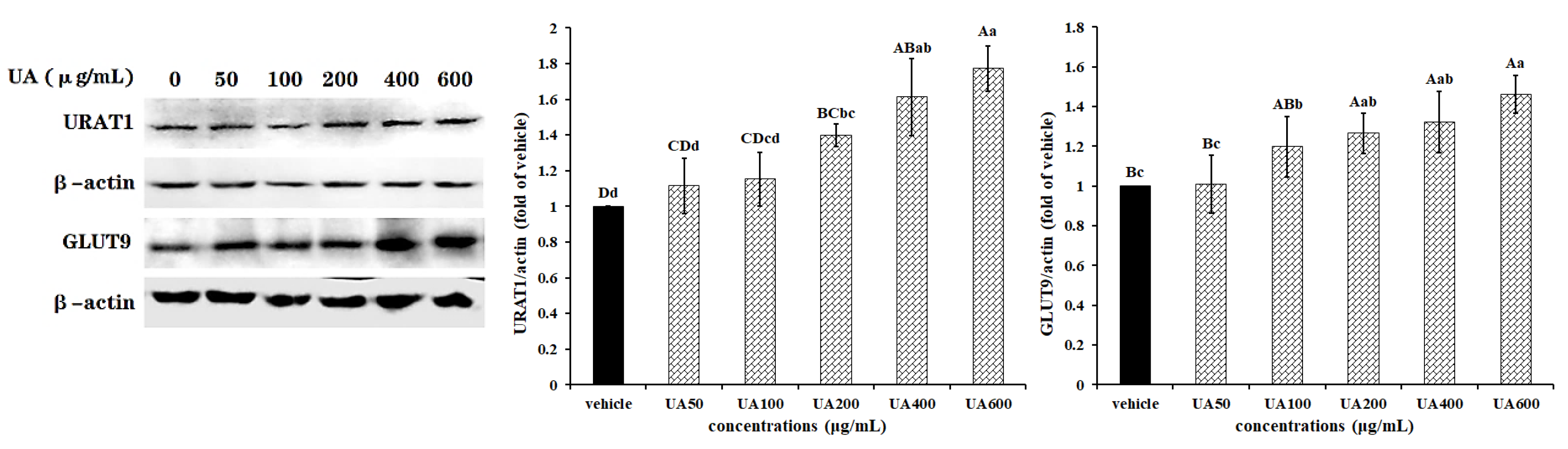 Marinedrugs 19 00238 g001