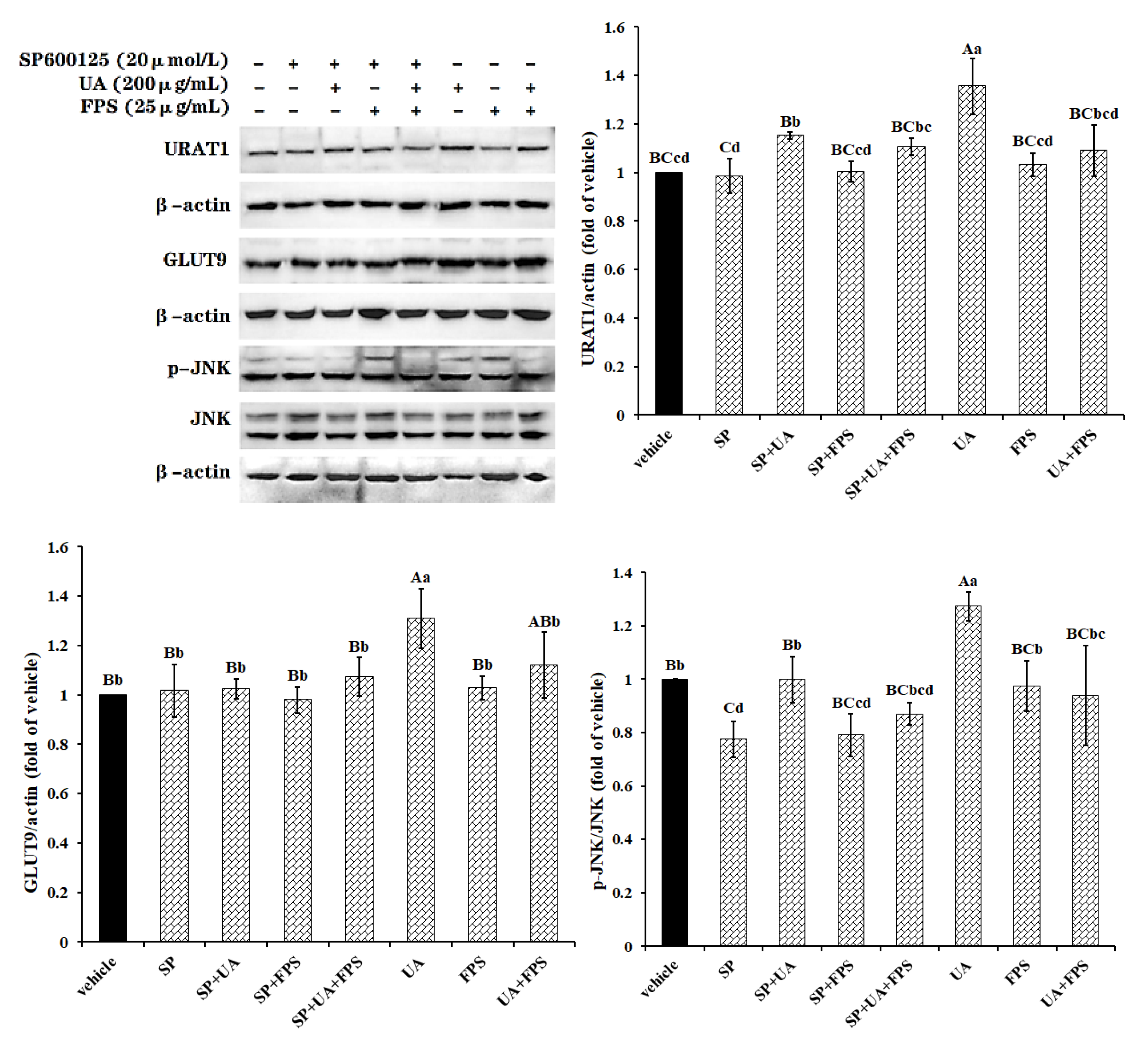 Marinedrugs 19 00238 g004a