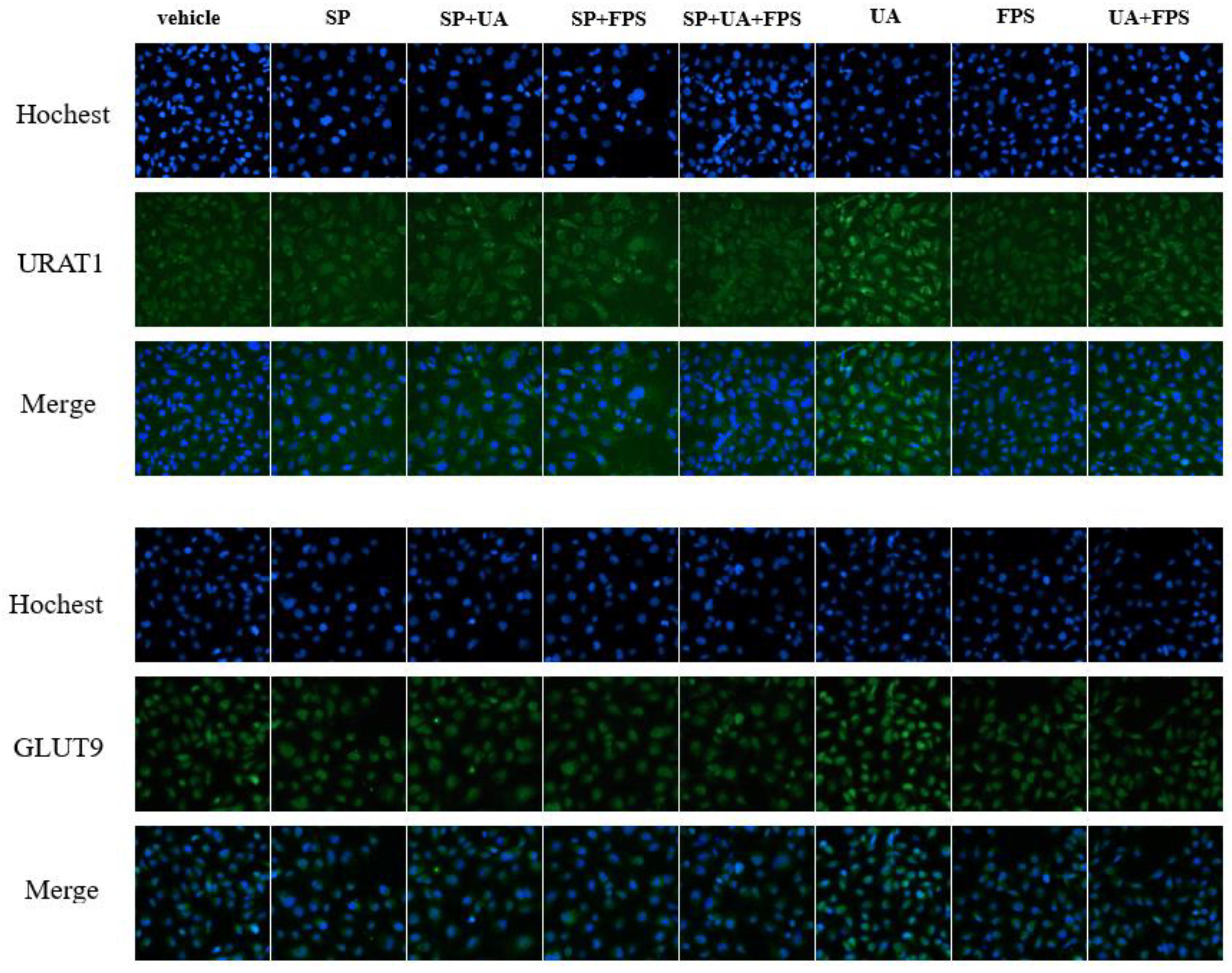 Marinedrugs 19 00238 g004b