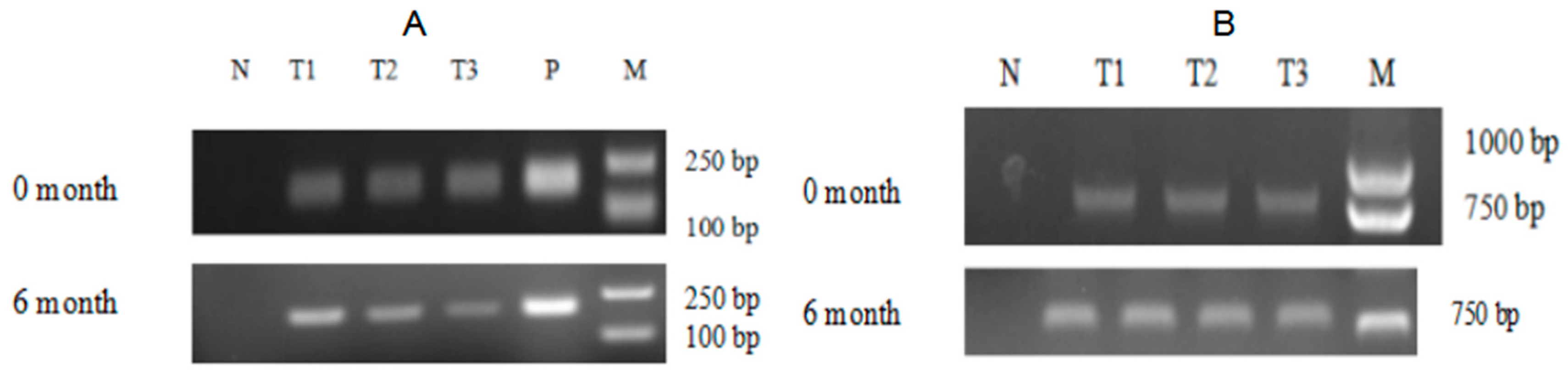 Marinedrugs 19 00239 g008 Marinedrugs 19 00239 g008