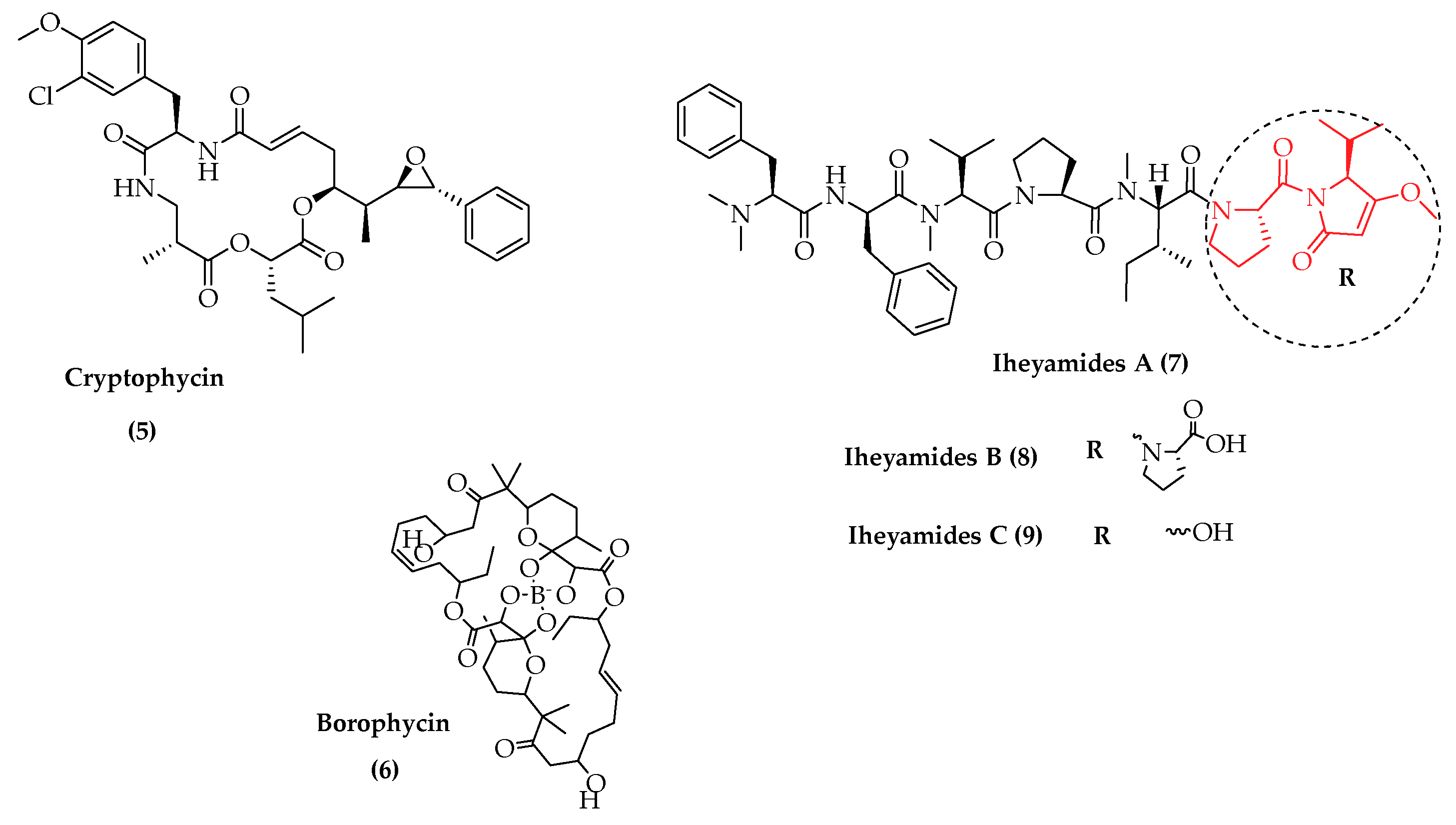 Marinedrugs 19 00241 g002