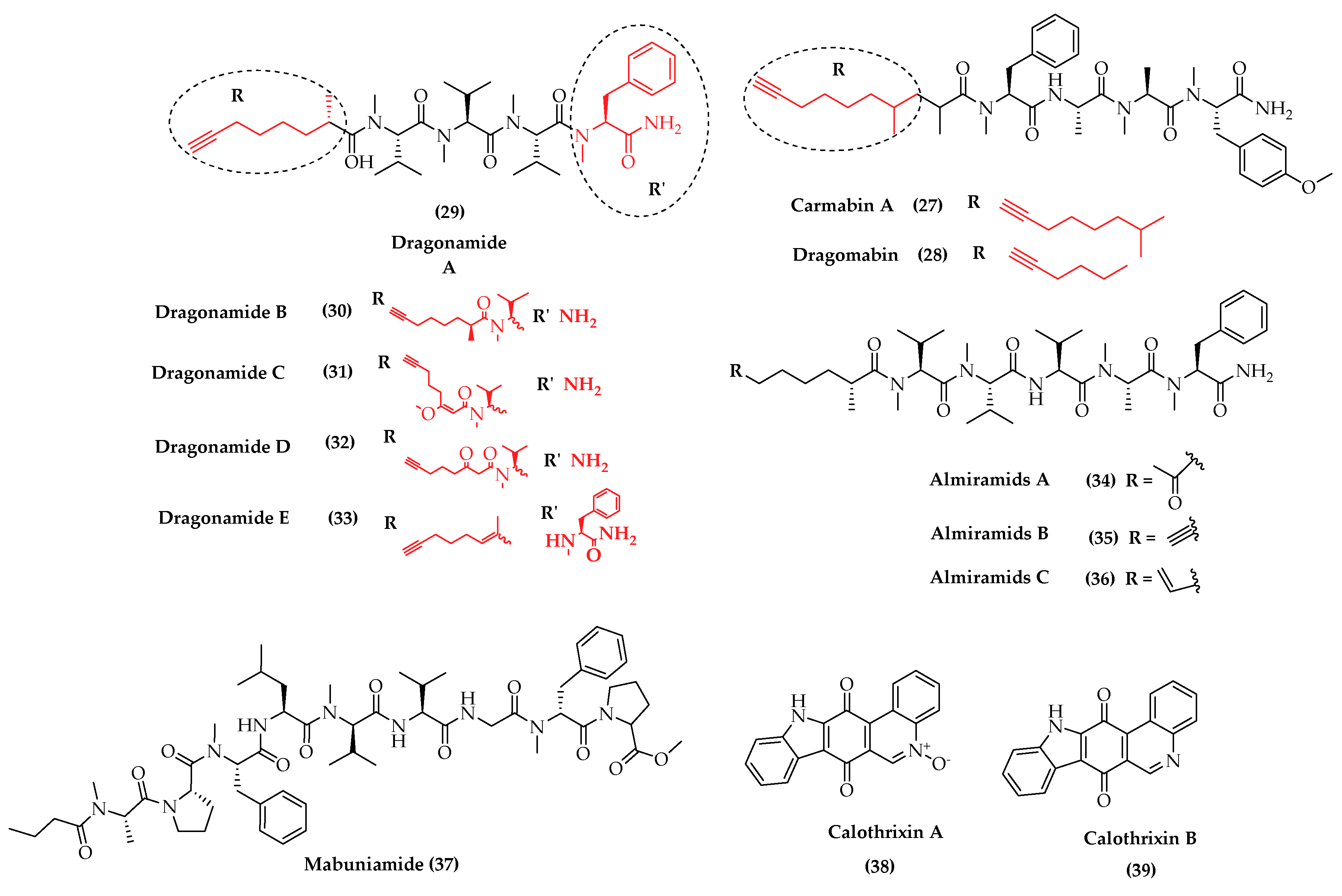 Marinedrugs 19 00241 g005