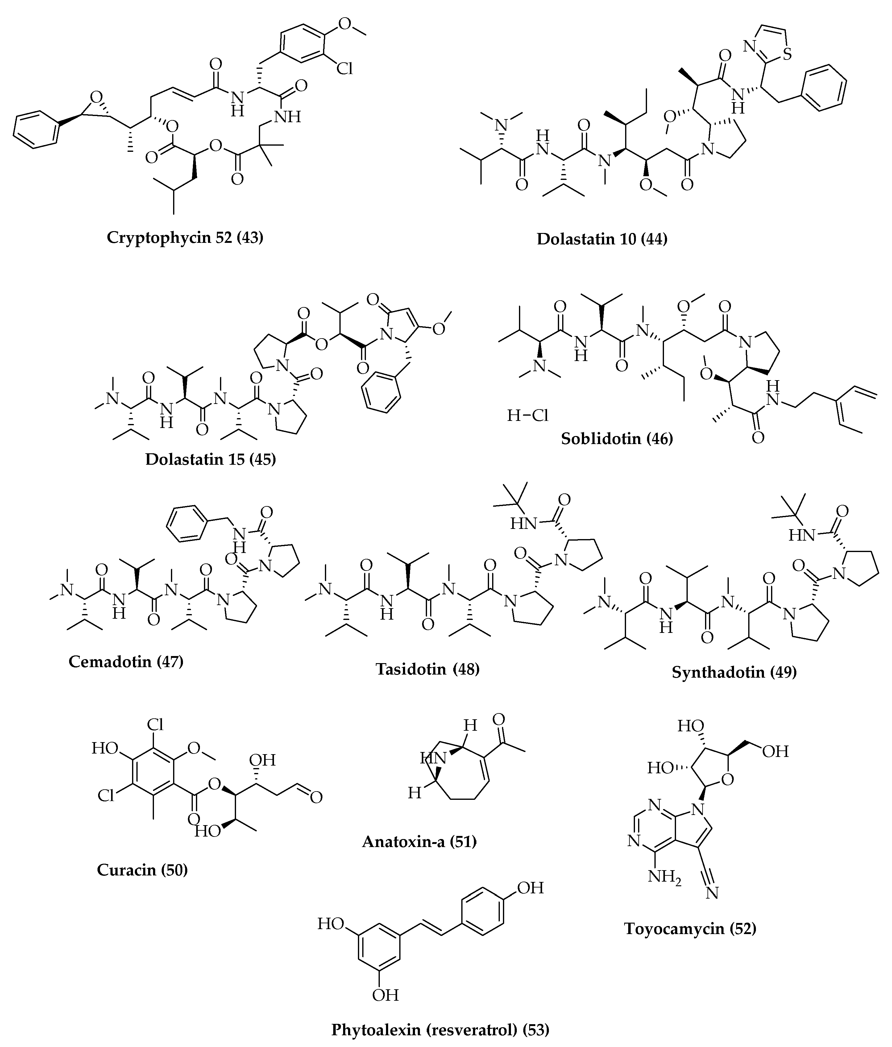 Marinedrugs 19 00241 g007
