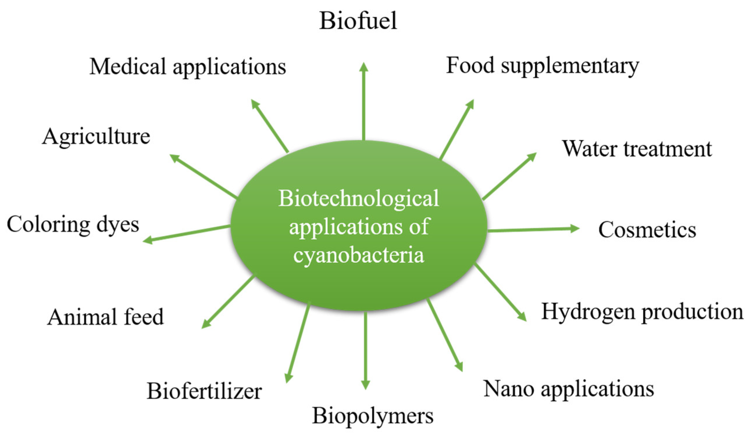 Marinedrugs 19 00241 g008