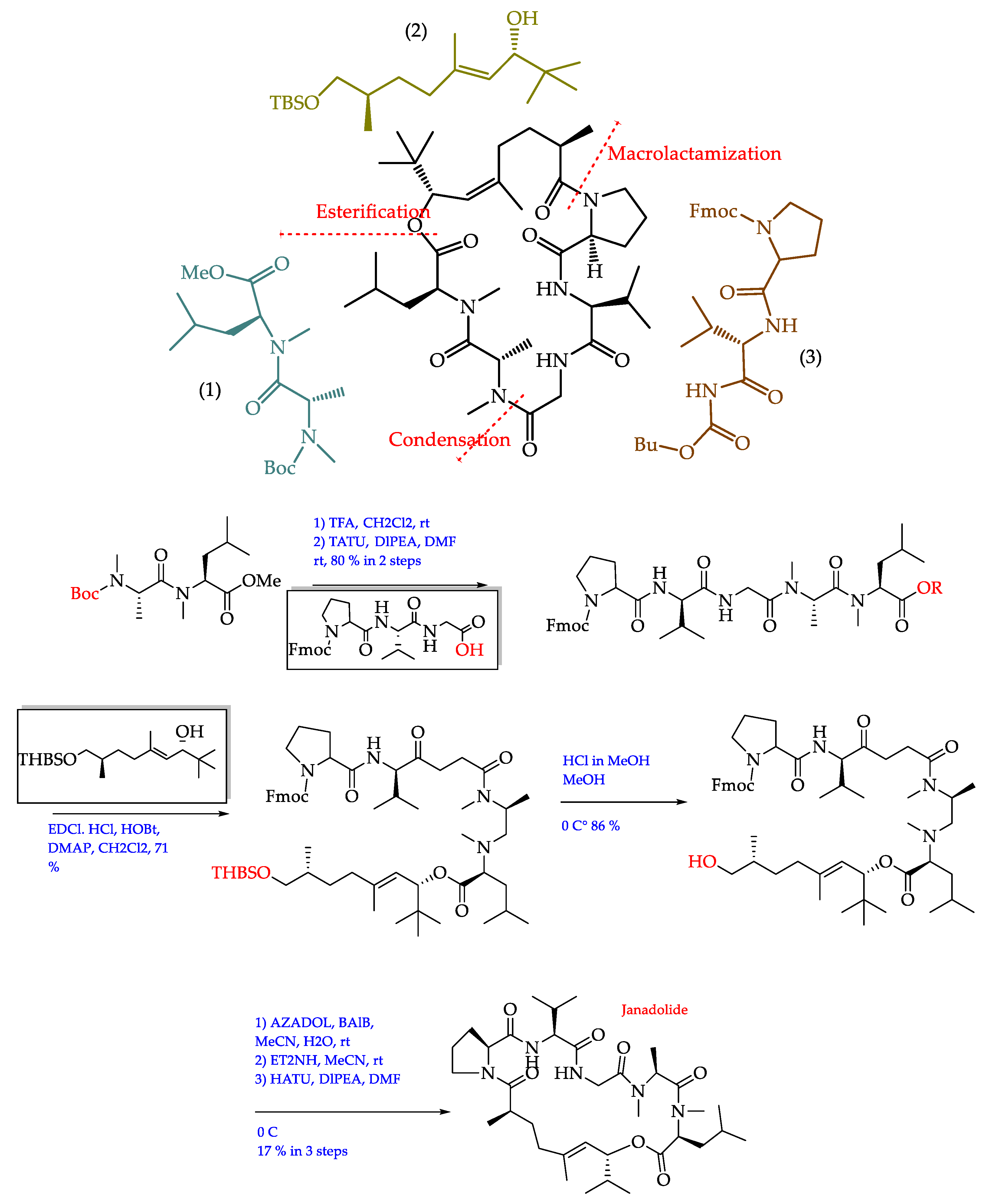 Marinedrugs 19 00241 sch002