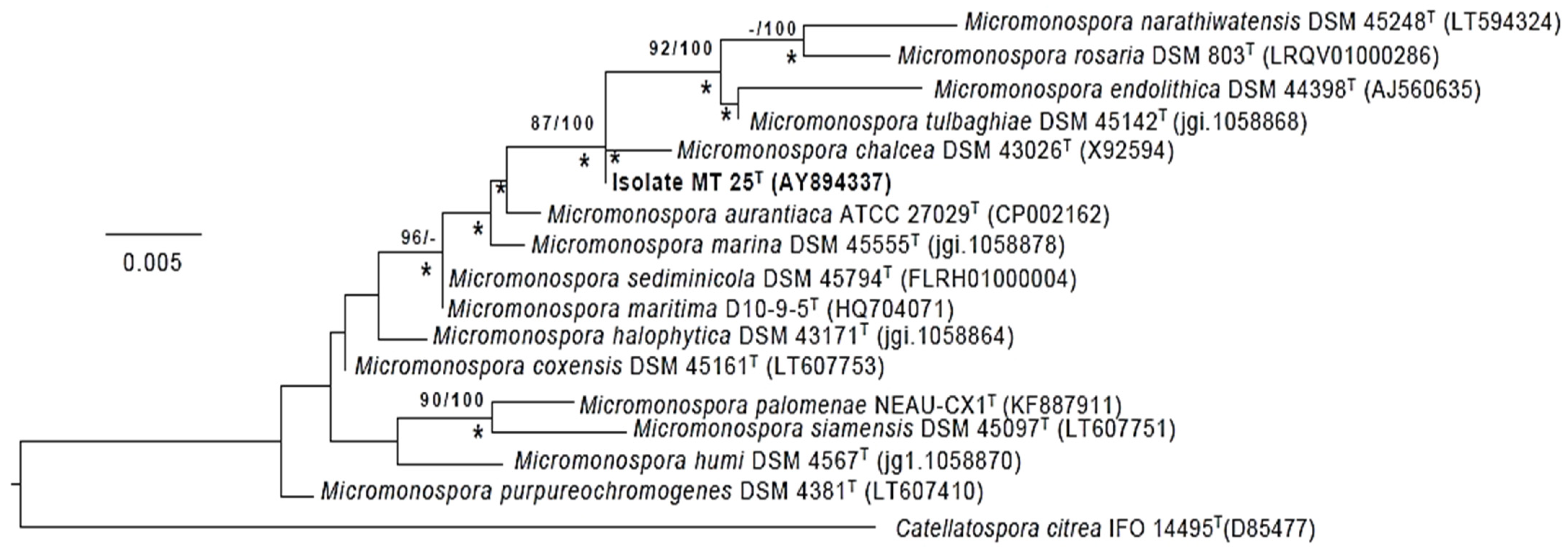Marinedrugs 19 00243 g004 Marinedrugs 19 00243 g004