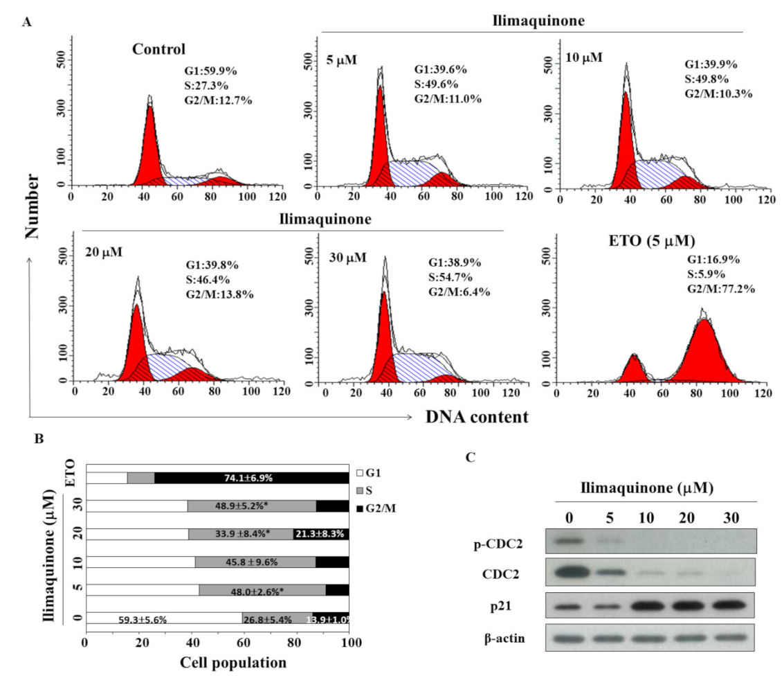 Marinedrugs 19 00244 g002 Marinedrugs 19 00244 g002