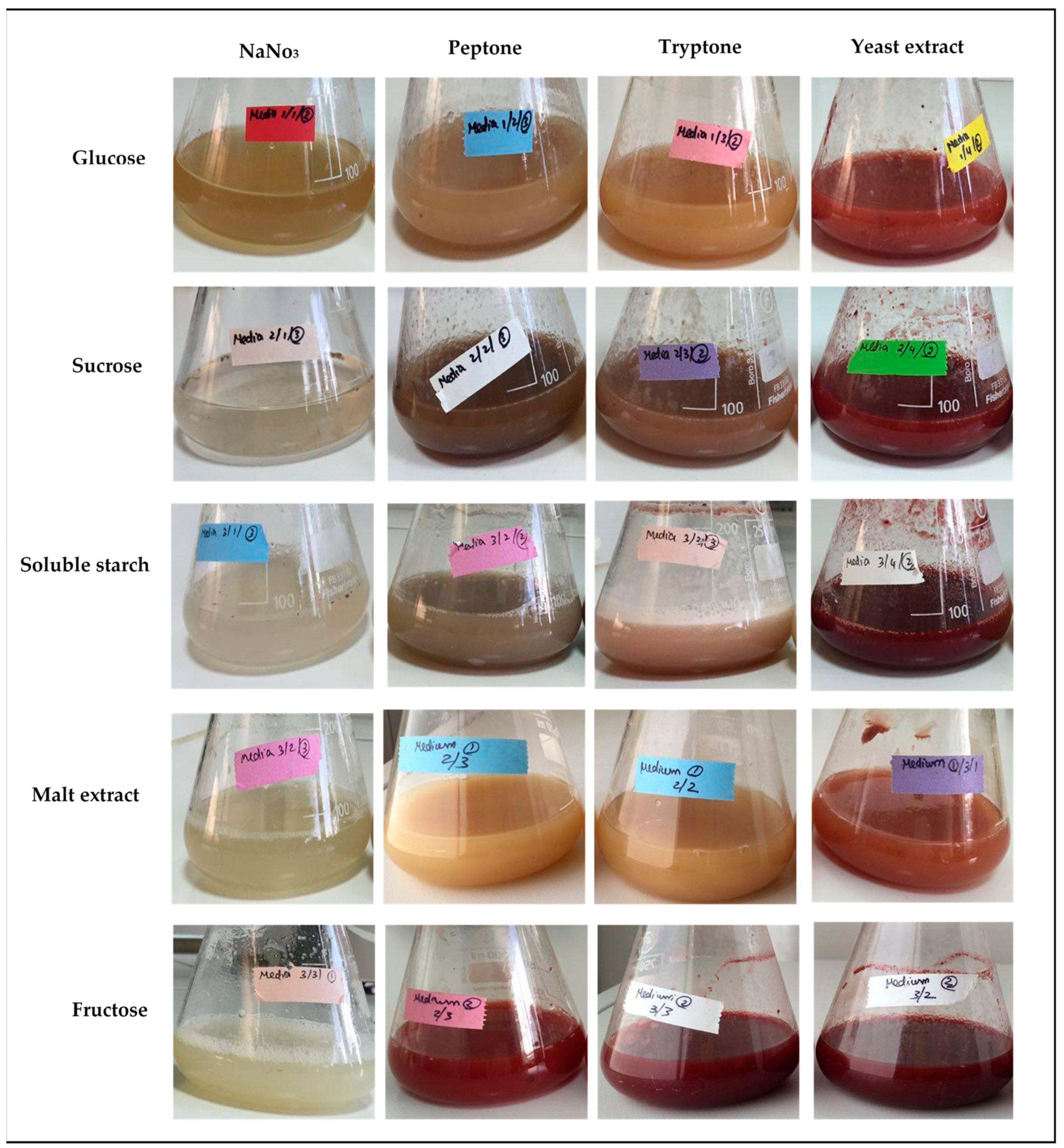 Marinedrugs 19 00248 g001