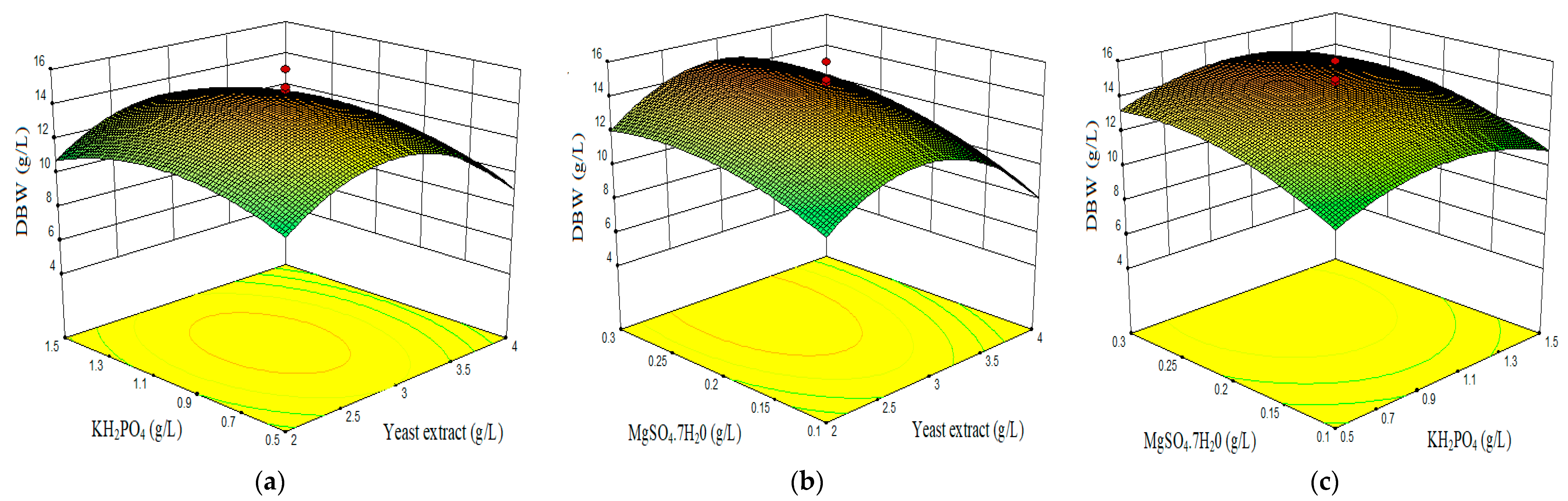 Marinedrugs 19 00248 g005