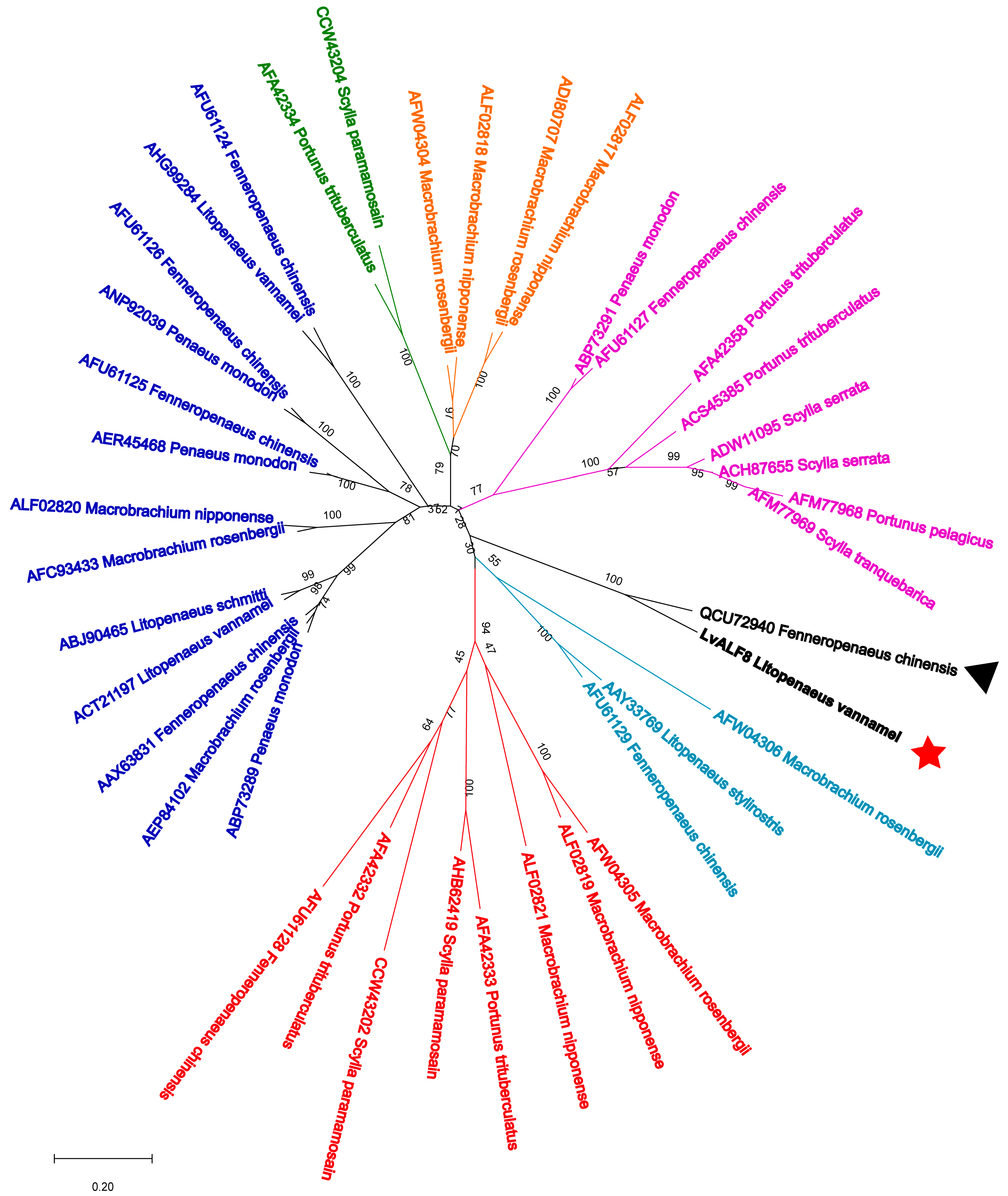 Marinedrugs 19 00250 g002