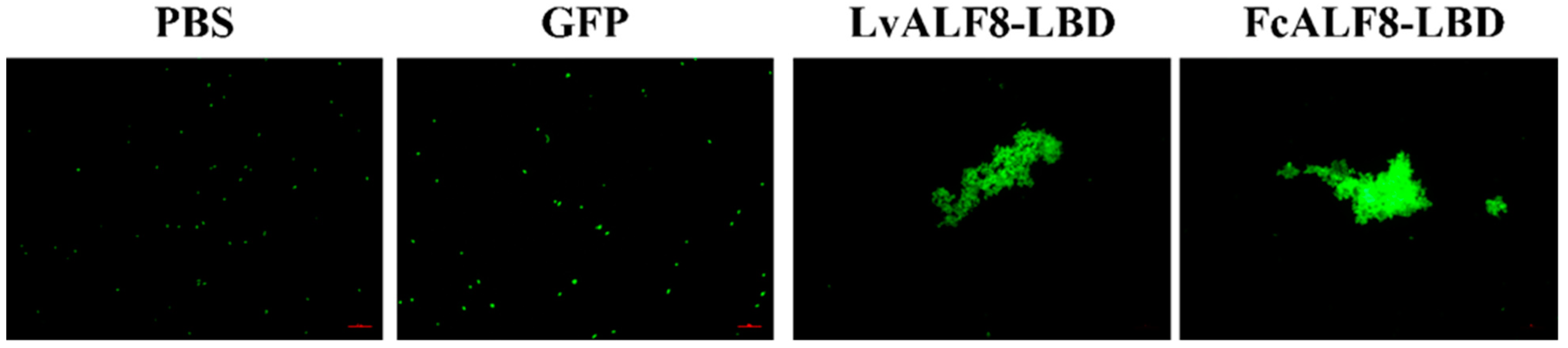 Marinedrugs 19 00250 g006