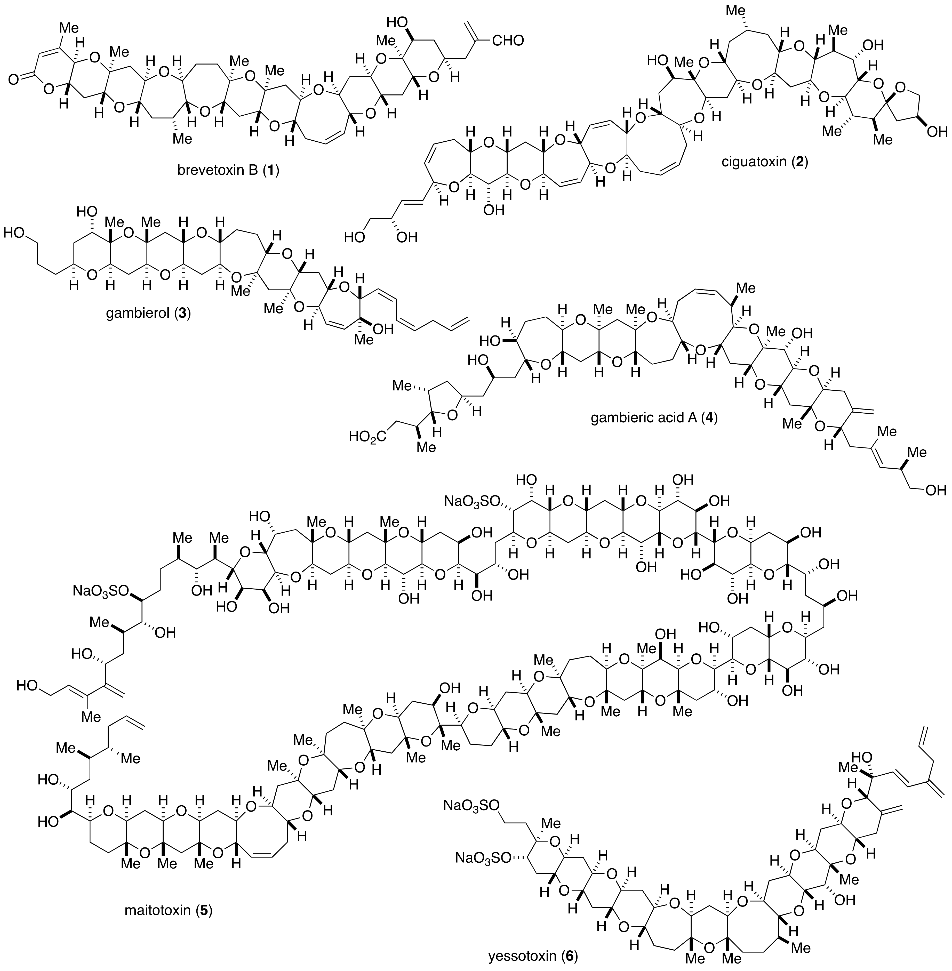 Marinedrugs 19 00257 g001 Marinedrugs 19 00257 g001