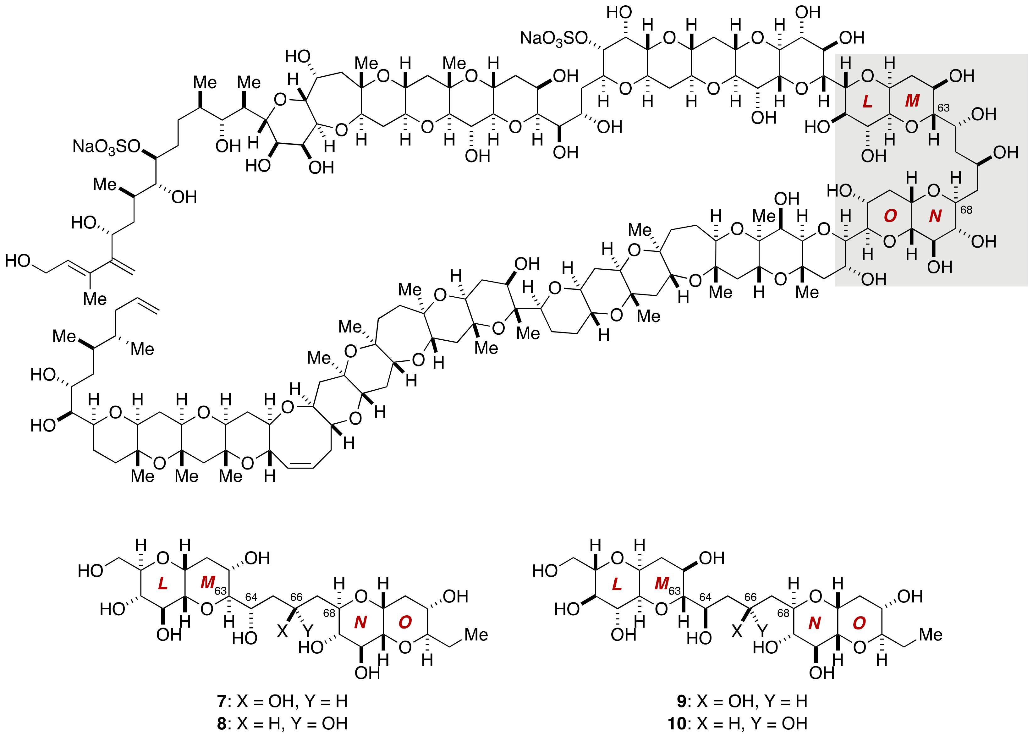 Marinedrugs 19 00257 g002 Marinedrugs 19 00257 g002