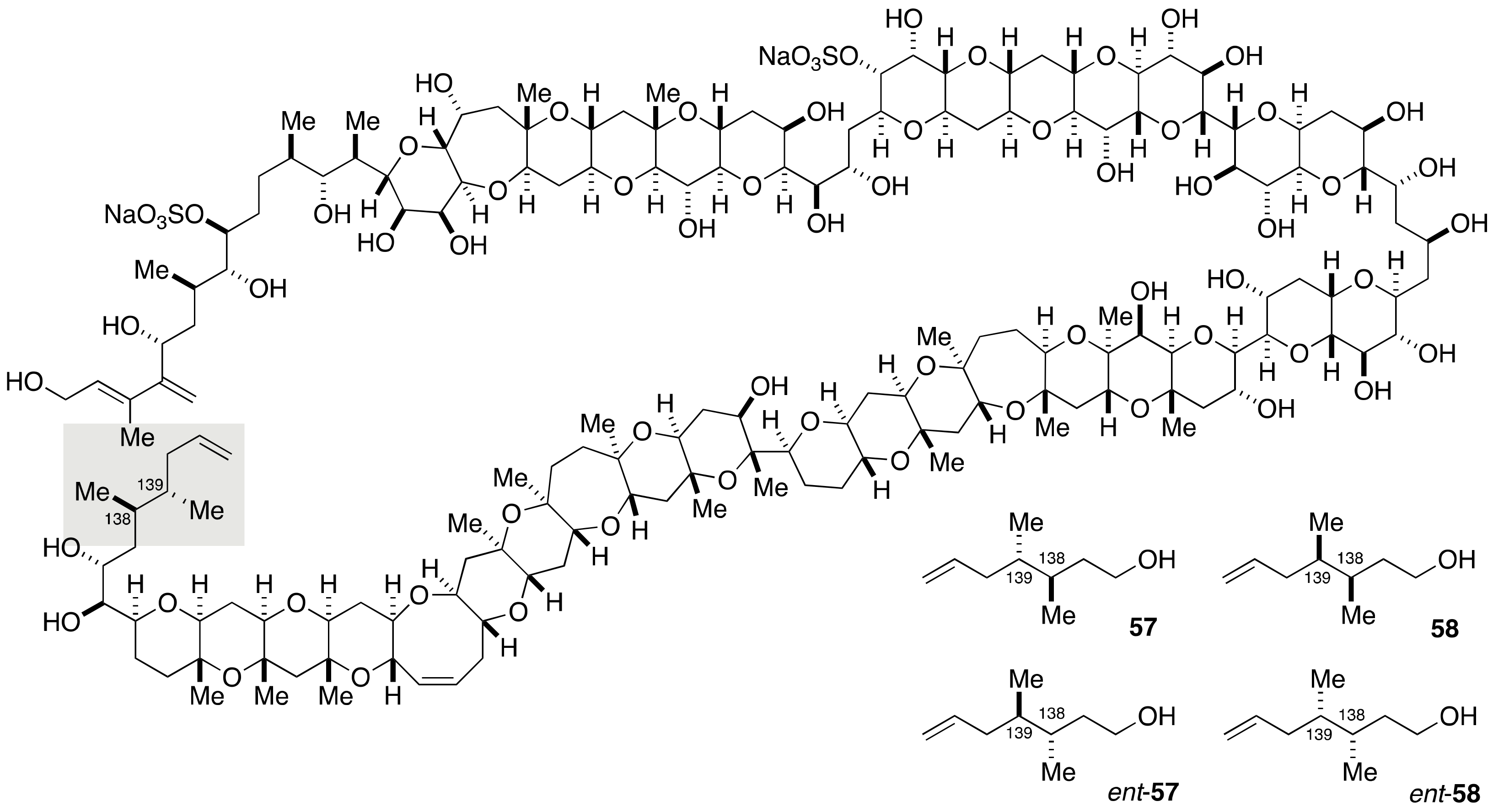 Marinedrugs 19 00257 g012 Marinedrugs 19 00257 g012