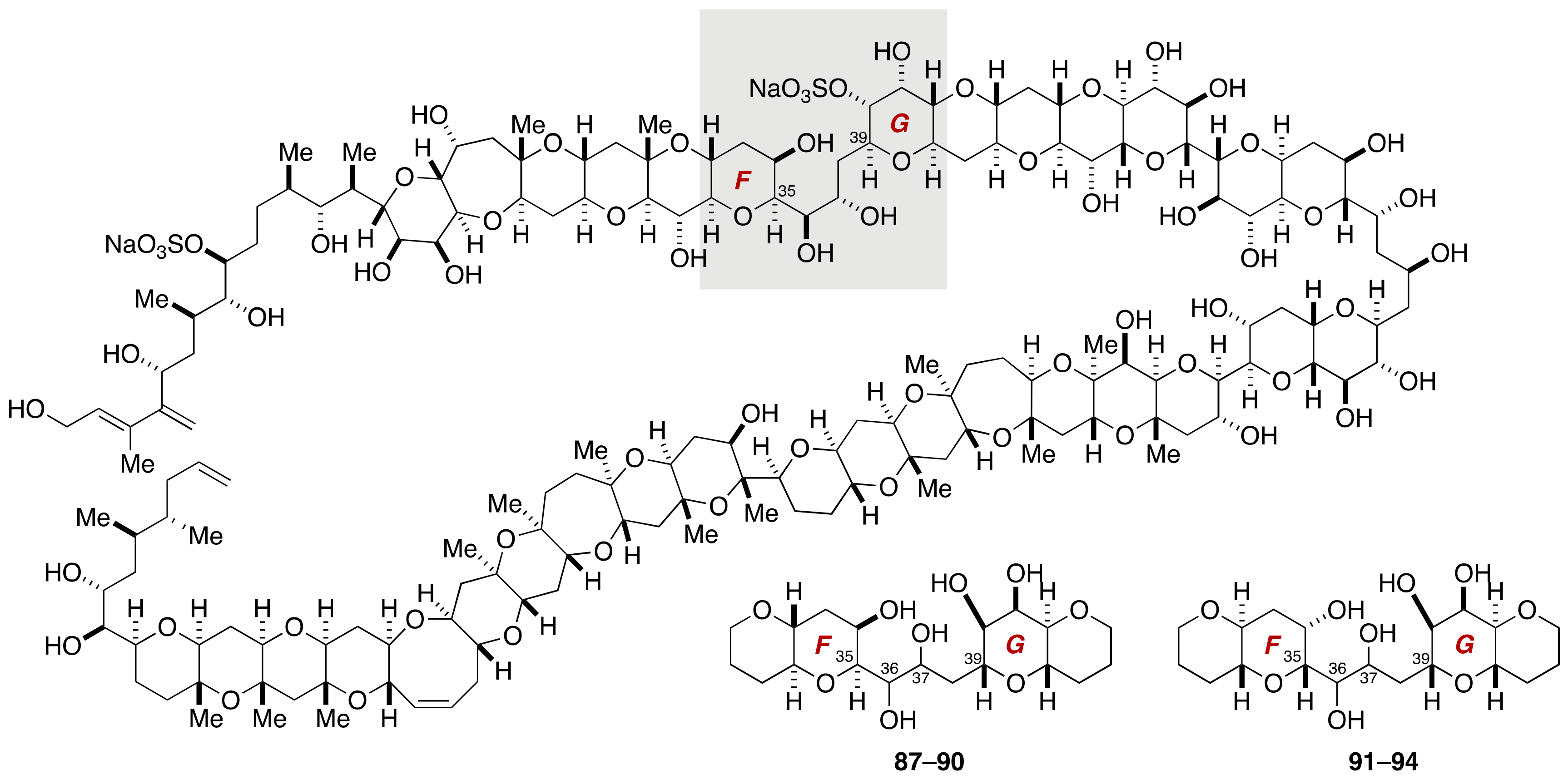 Marinedrugs 19 00257 g018 Marinedrugs 19 00257 g018
