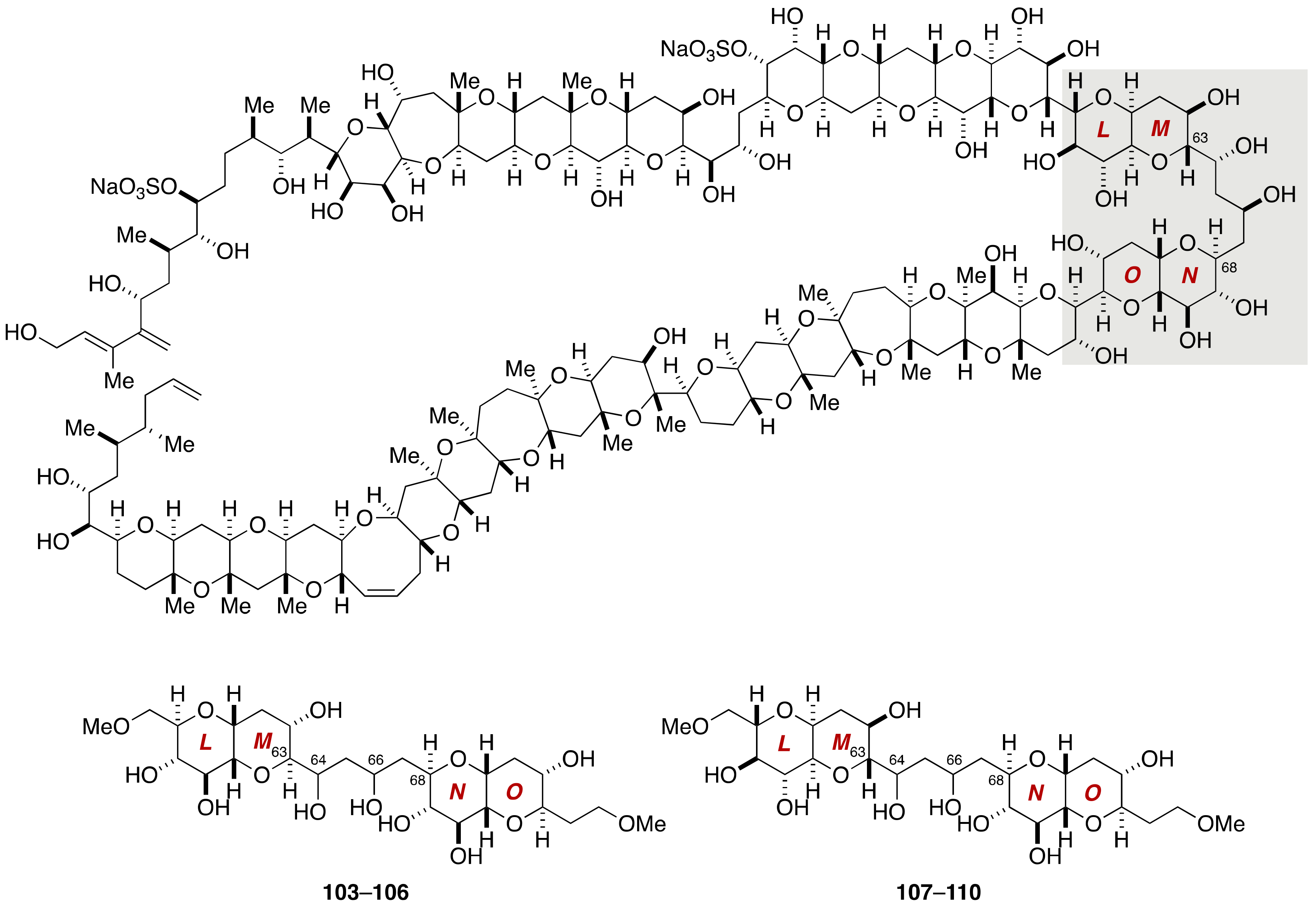 Marinedrugs 19 00257 g020 Marinedrugs 19 00257 g020