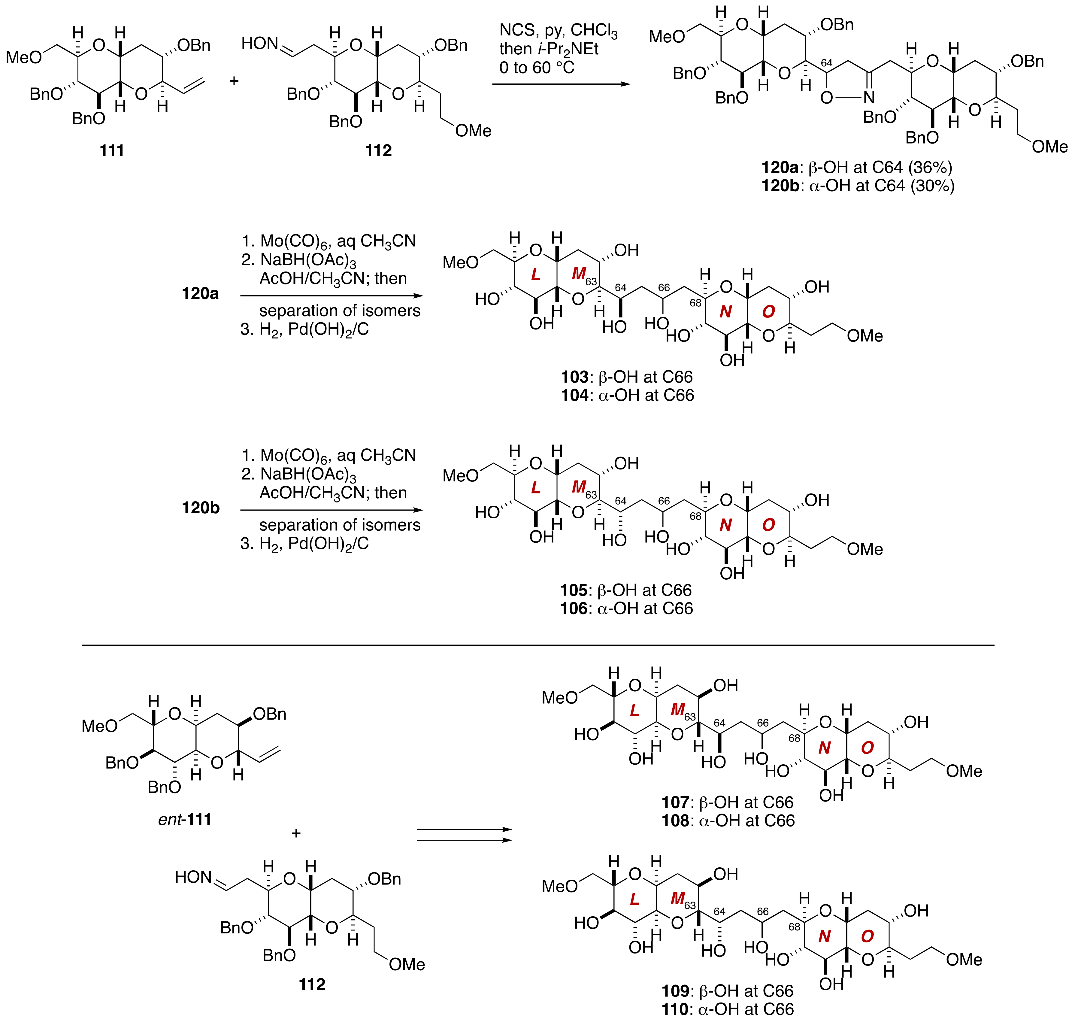 Marinedrugs 19 00257 g023 Marinedrugs 19 00257 g023