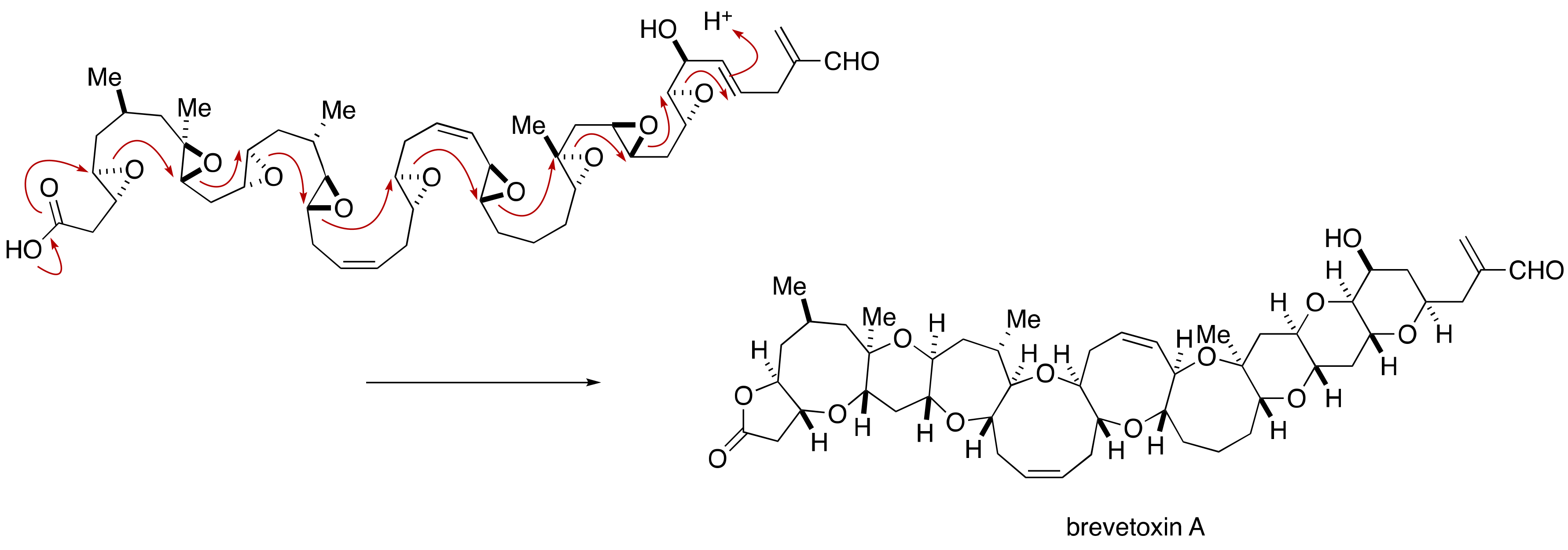 Marinedrugs 19 00257 g030 Marinedrugs 19 00257 g030