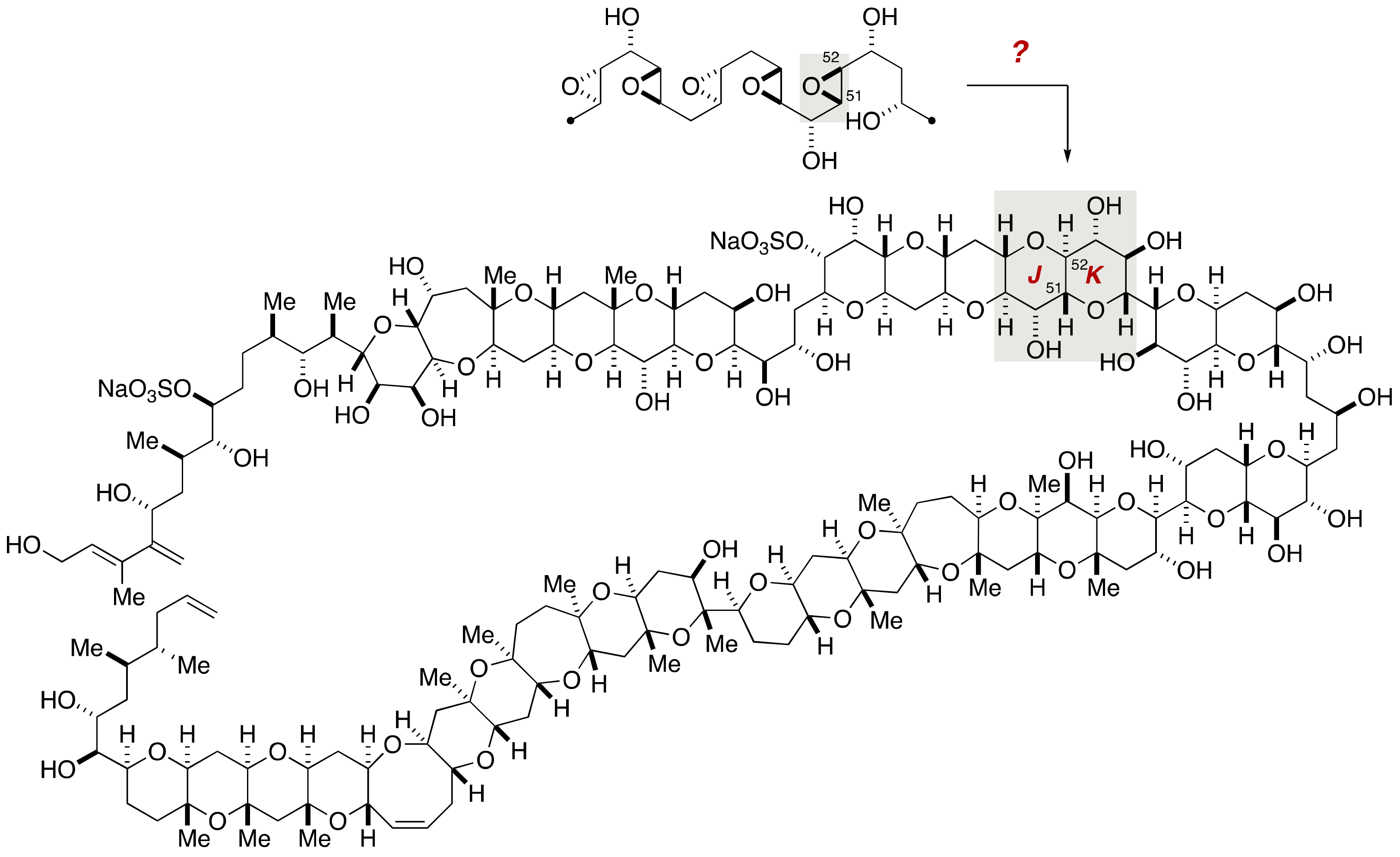 Marinedrugs 19 00257 g031 Marinedrugs 19 00257 g031