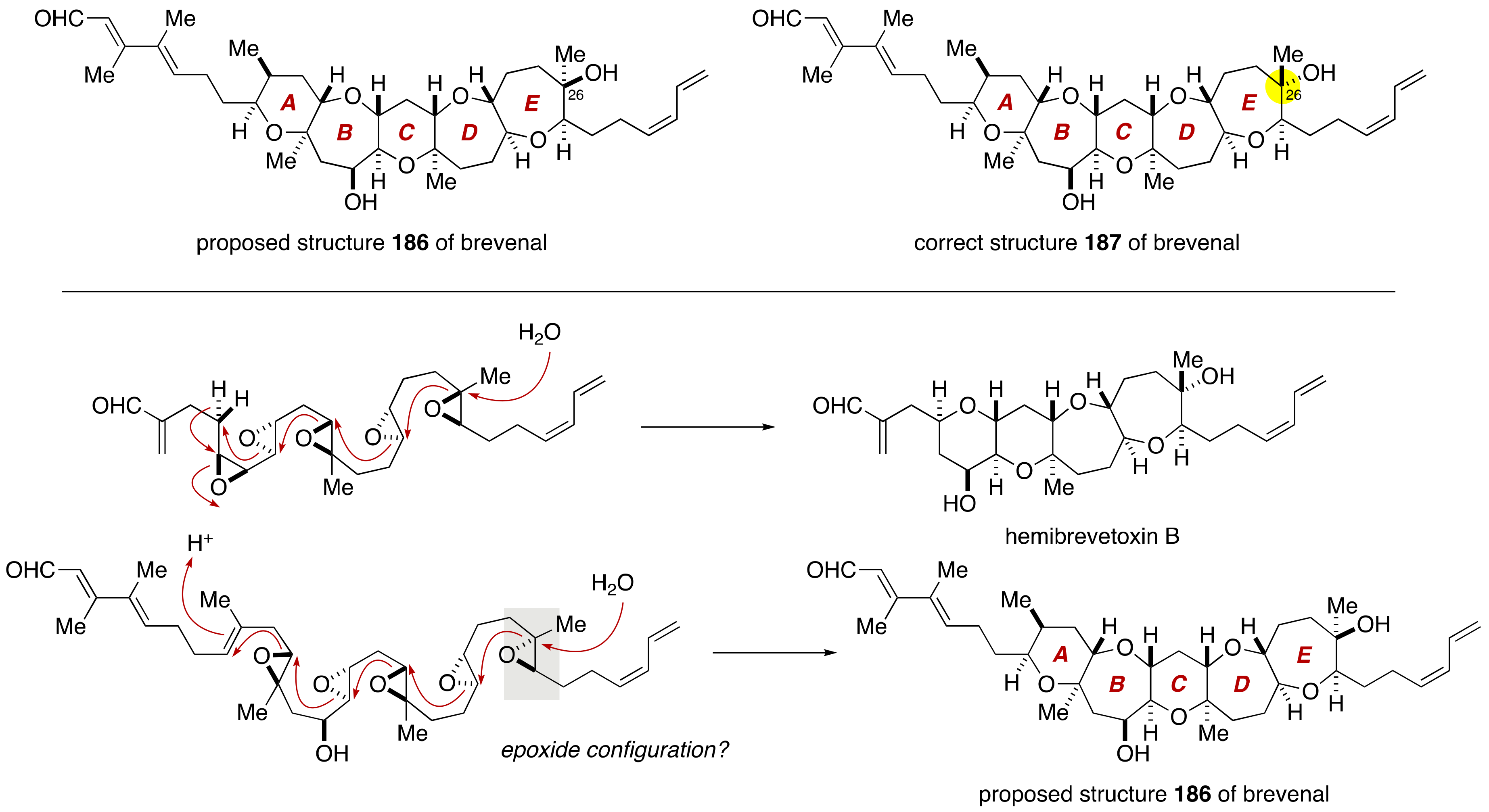 Marinedrugs 19 00257 g035 Marinedrugs 19 00257 g035
