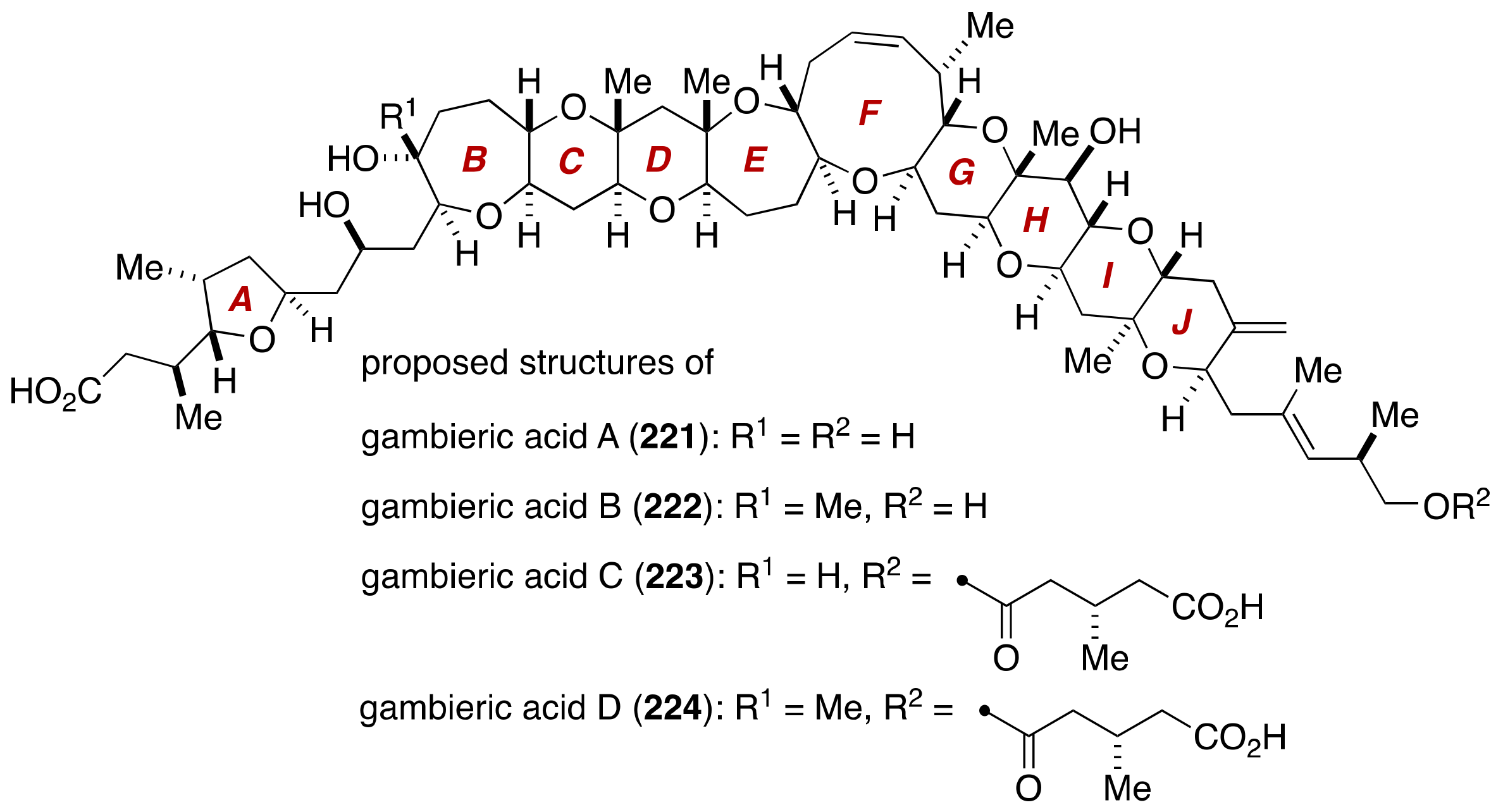 Marinedrugs 19 00257 g043 Marinedrugs 19 00257 g043