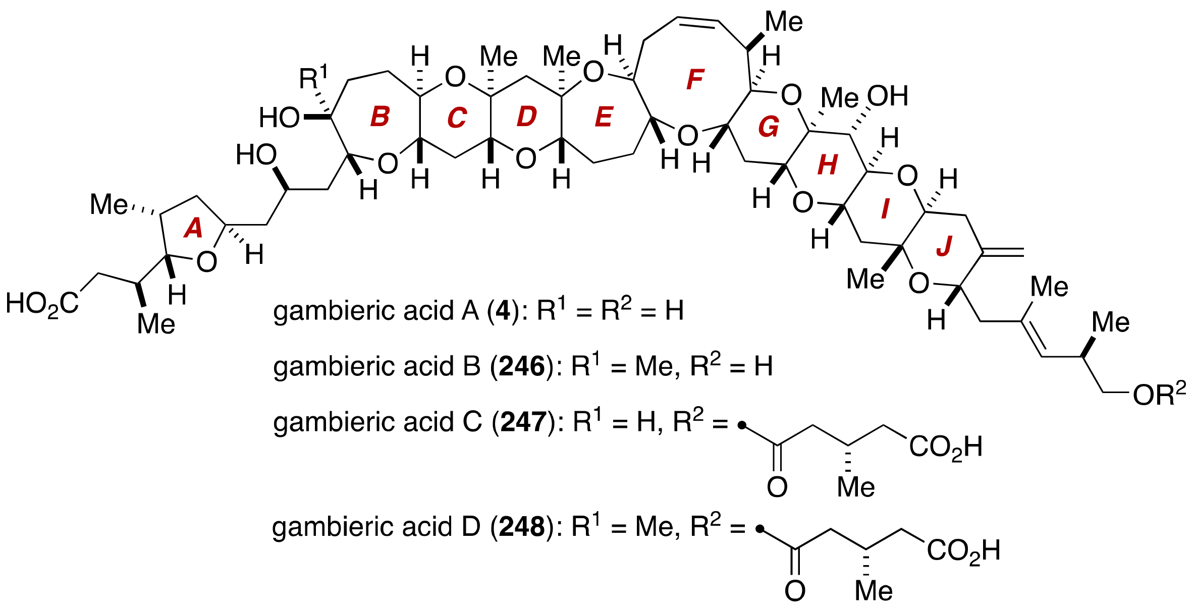 Marinedrugs 19 00257 g049 Marinedrugs 19 00257 g049
