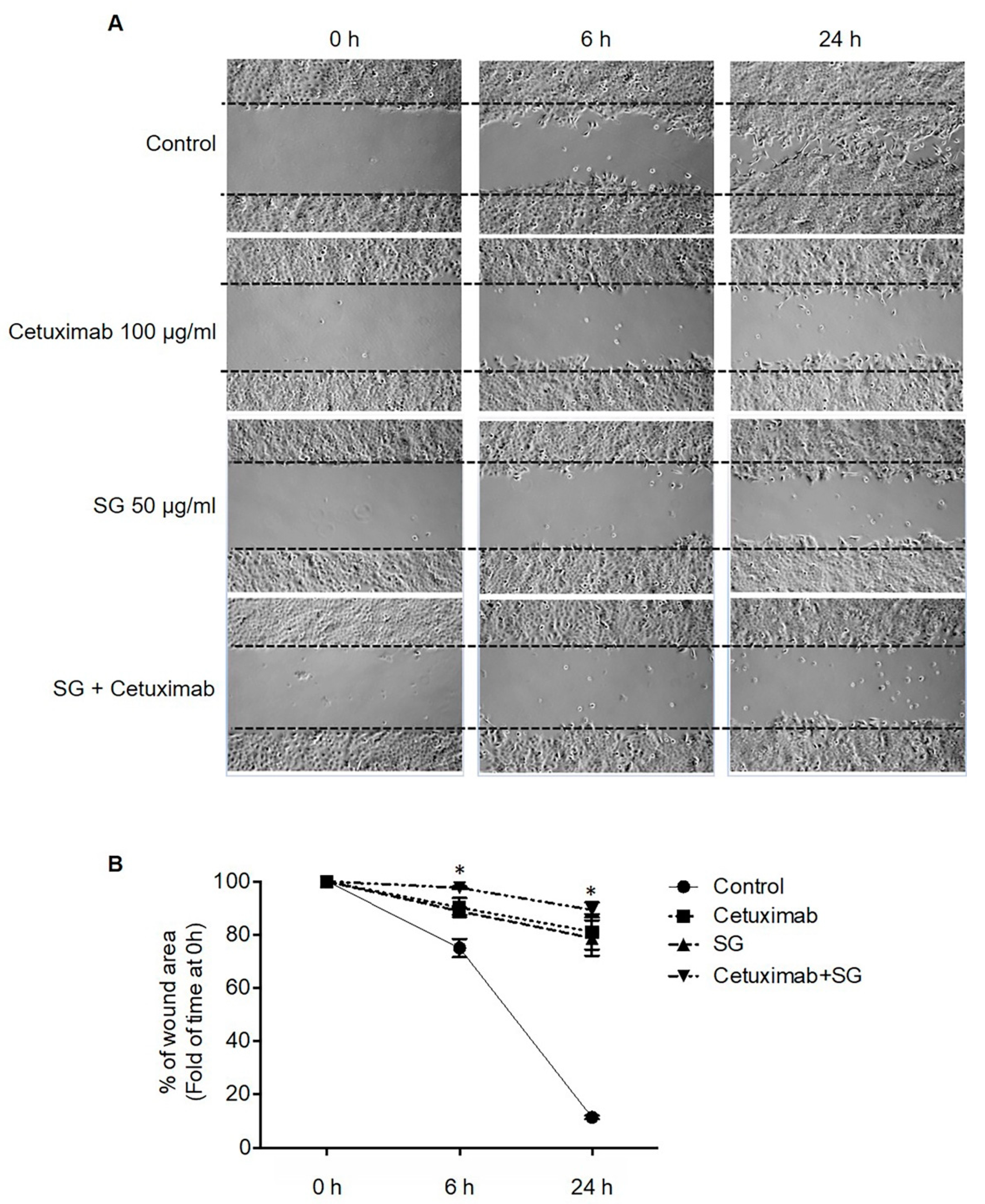 Marinedrugs 19 00258 g002 Marinedrugs 19 00258 g002