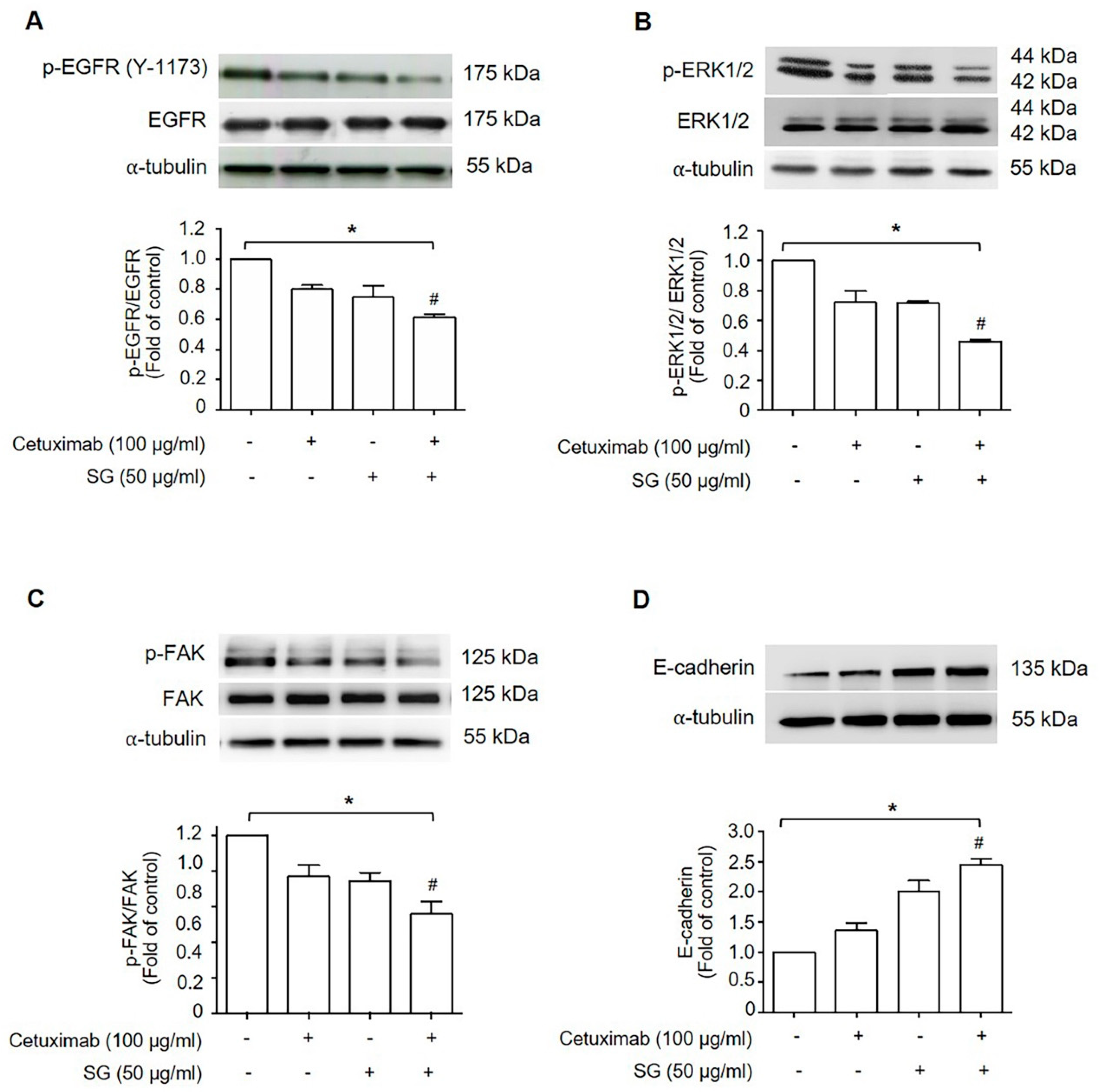 Marinedrugs 19 00258 g003 Marinedrugs 19 00258 g003