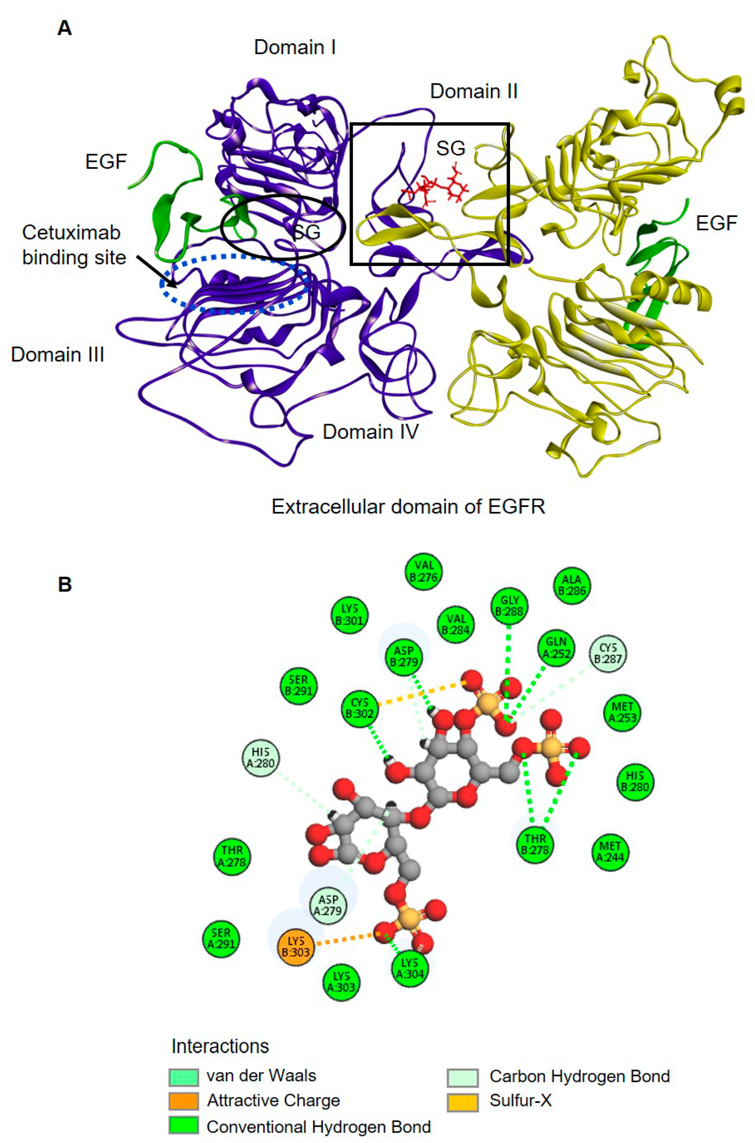 Marinedrugs 19 00258 g004 Marinedrugs 19 00258 g004