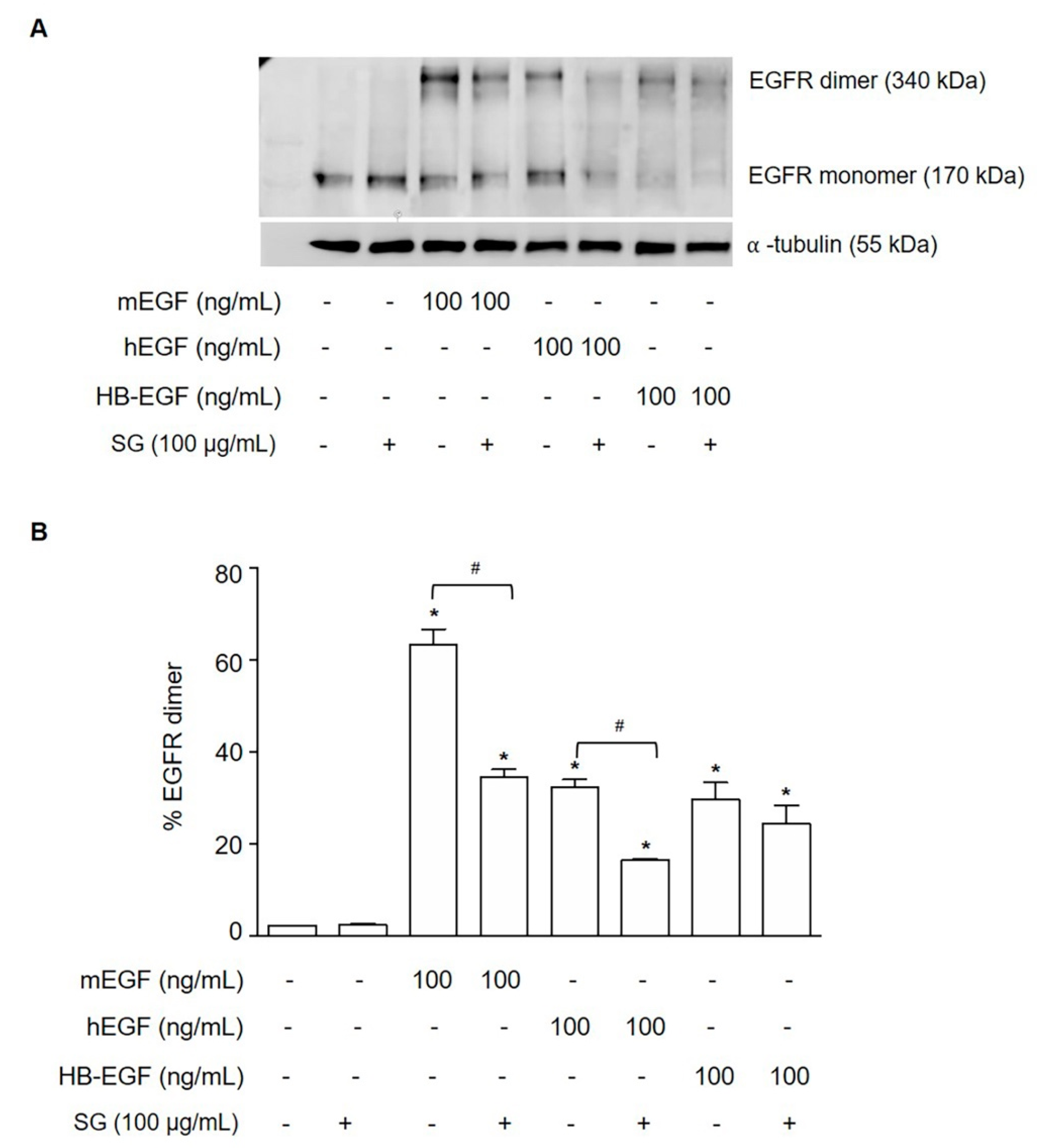 Marinedrugs 19 00258 g005 Marinedrugs 19 00258 g005
