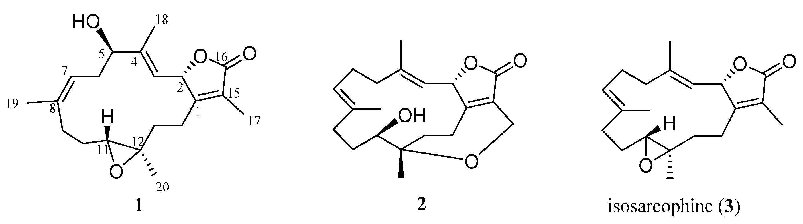 Marinedrugs 19 00260 g001 Marinedrugs 19 00260 g001