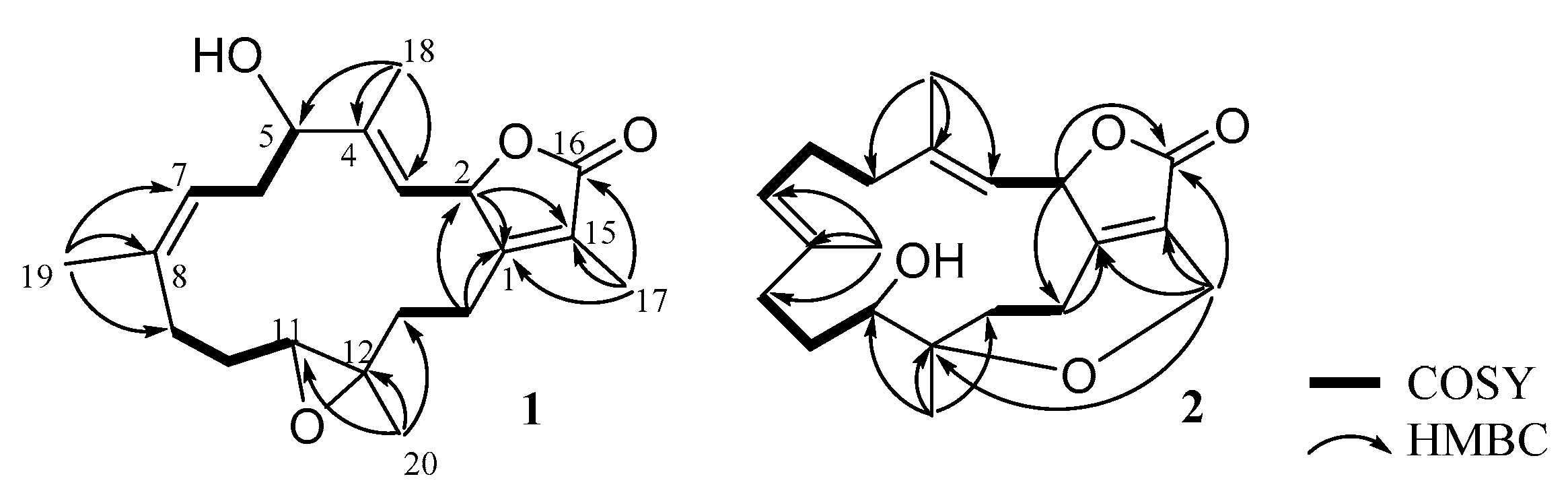 Marinedrugs 19 00260 g002 Marinedrugs 19 00260 g002