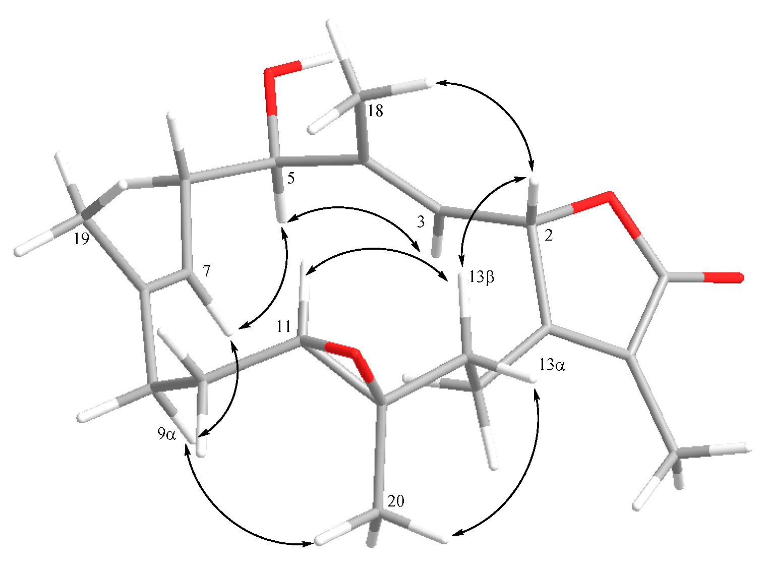 Marinedrugs 19 00260 g003 Marinedrugs 19 00260 g003