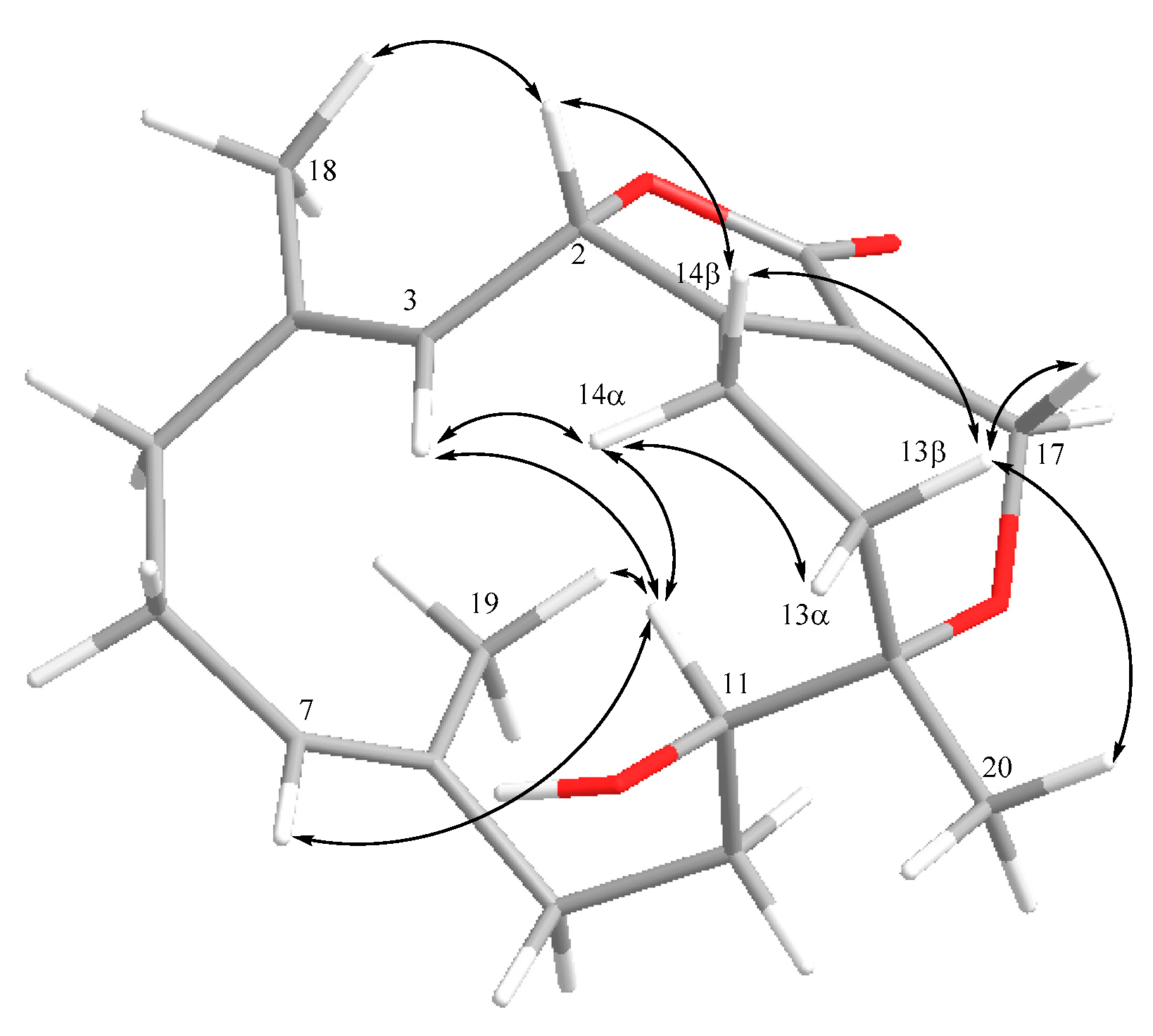 Marinedrugs 19 00260 g005 Marinedrugs 19 00260 g005