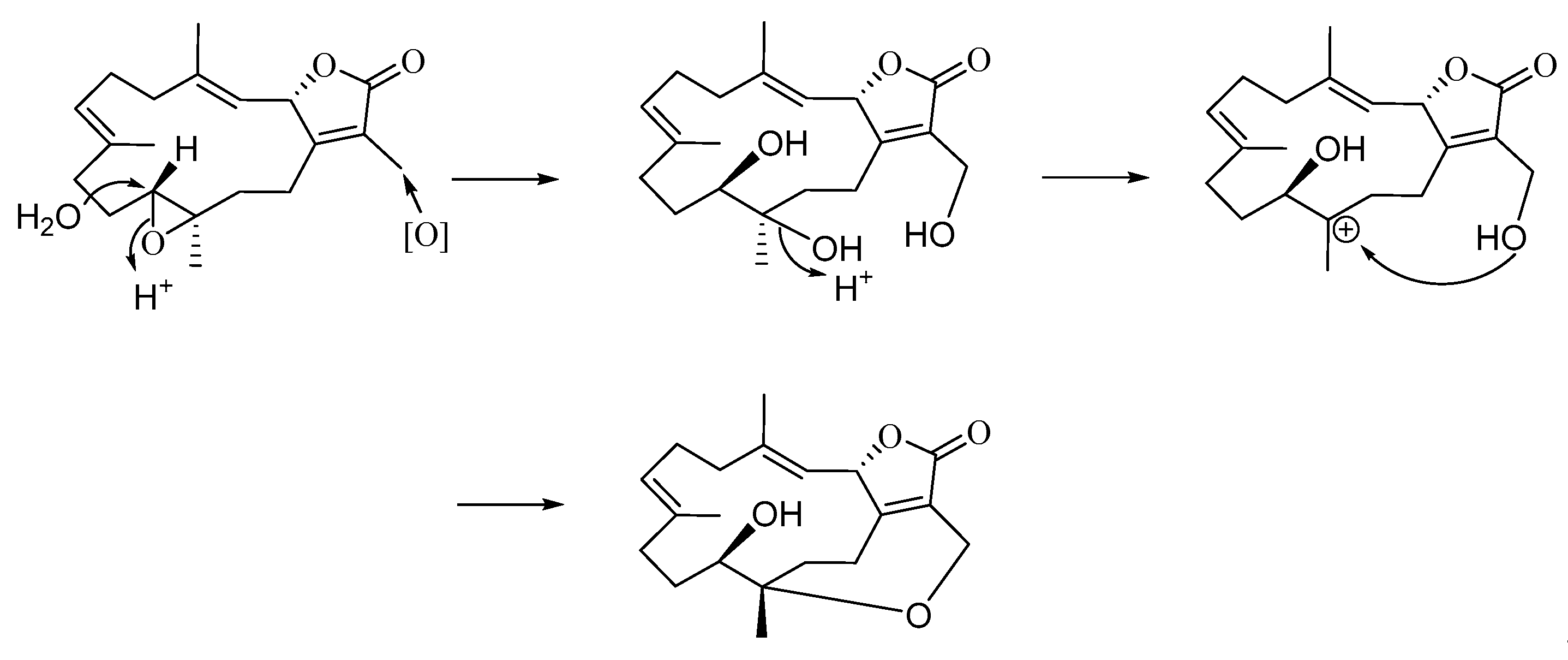 Marinedrugs 19 00260 sch001 Marinedrugs 19 00260 sch001