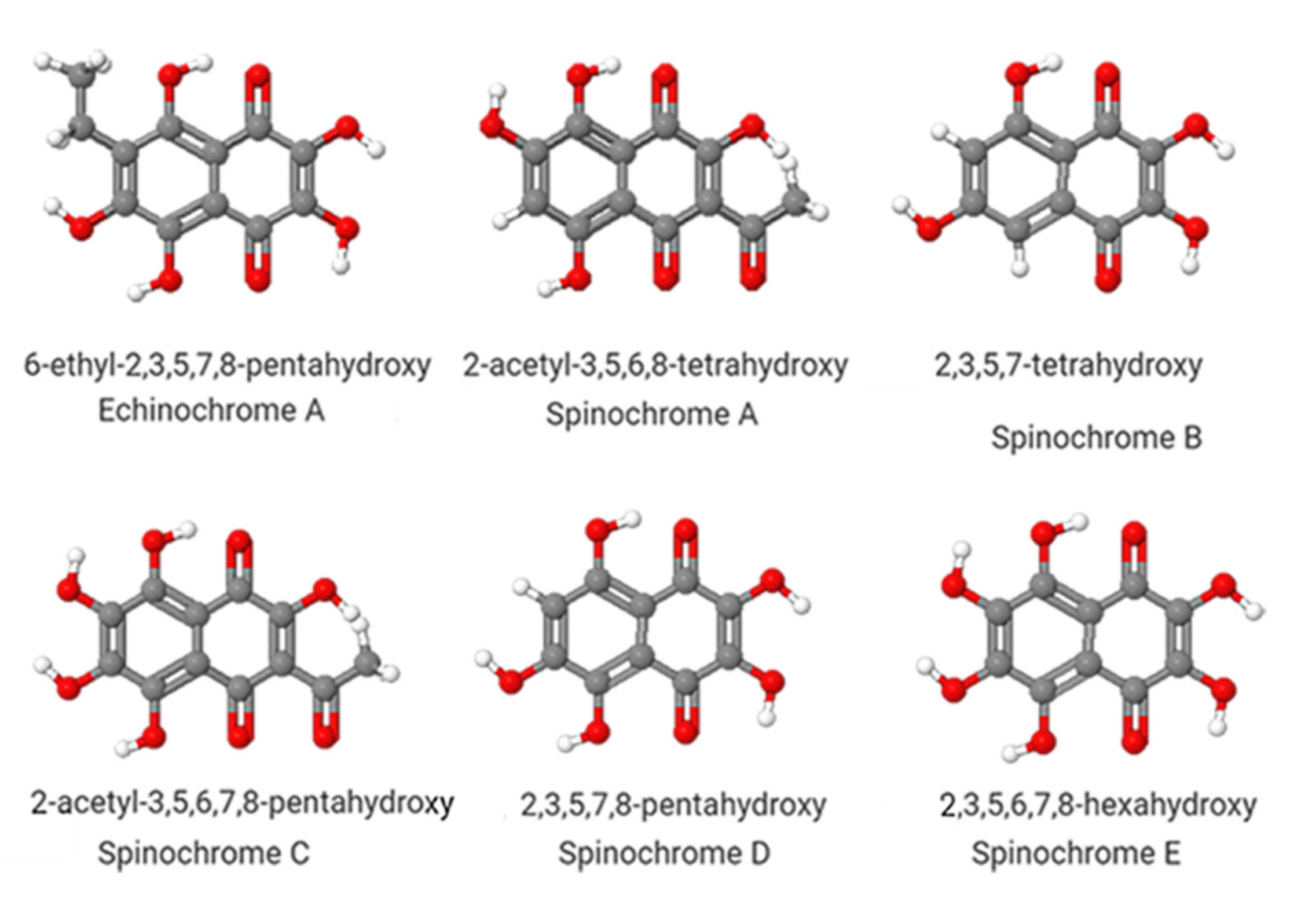 Marinedrugs 19 00267 g001