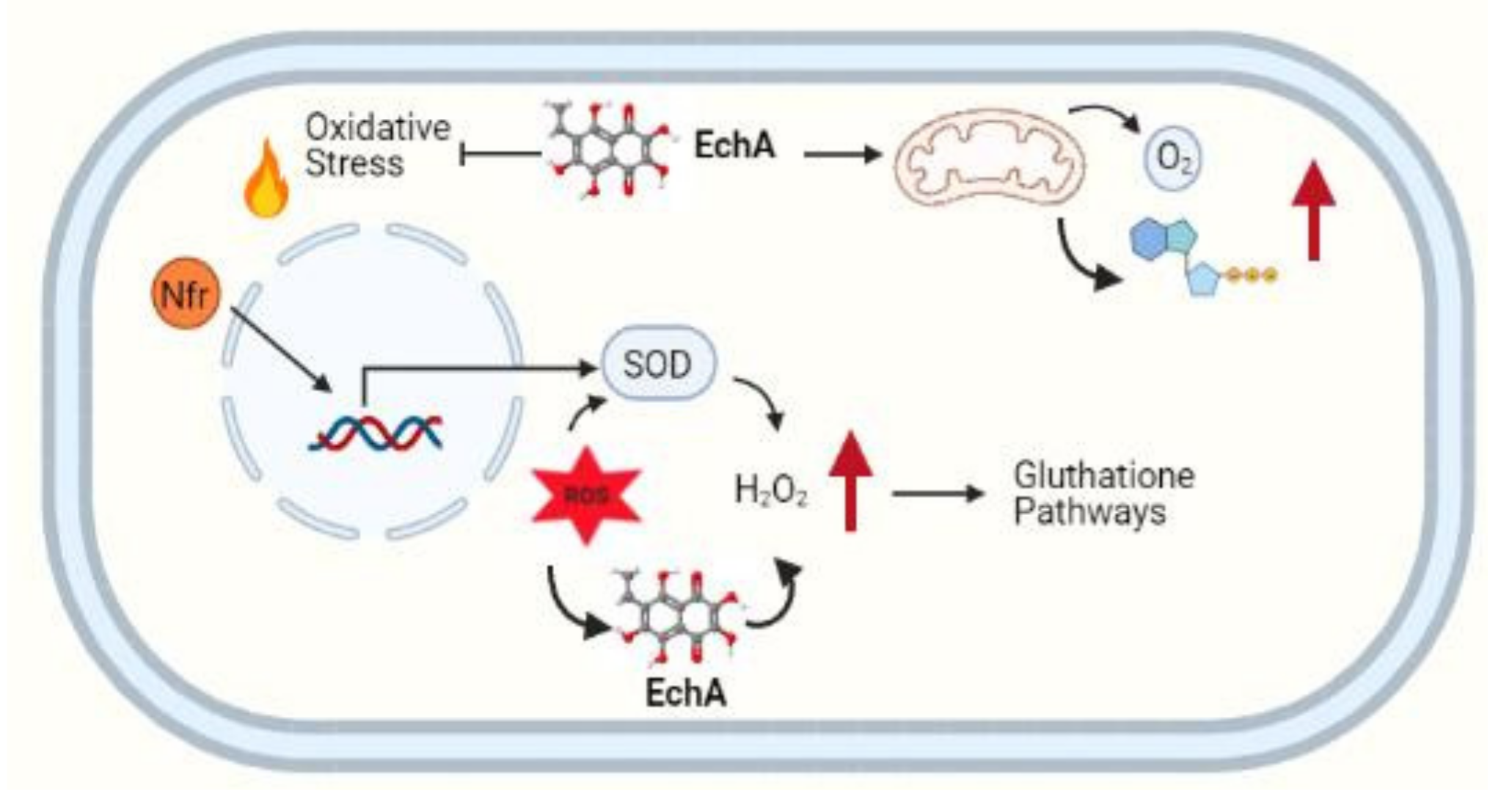 Marinedrugs 19 00267 g002