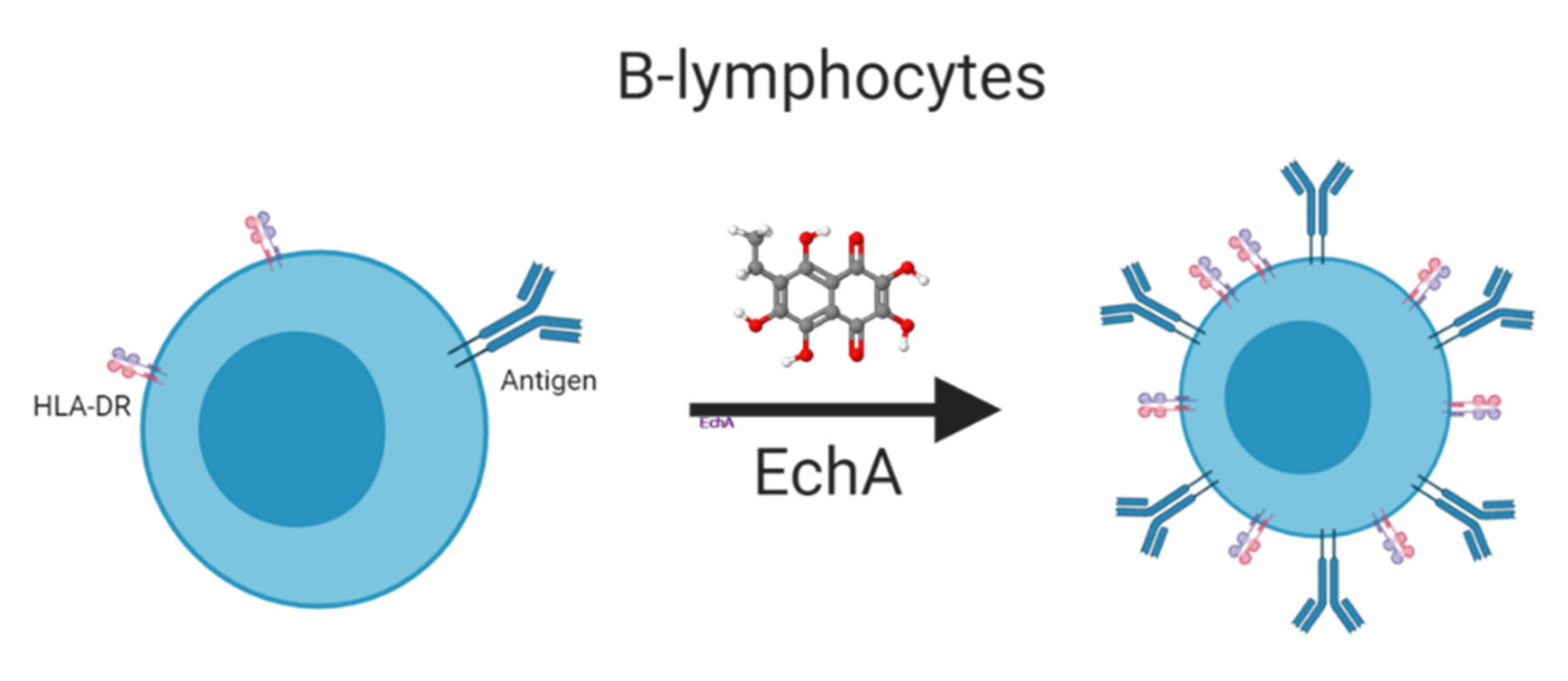 Marinedrugs 19 00267 g003