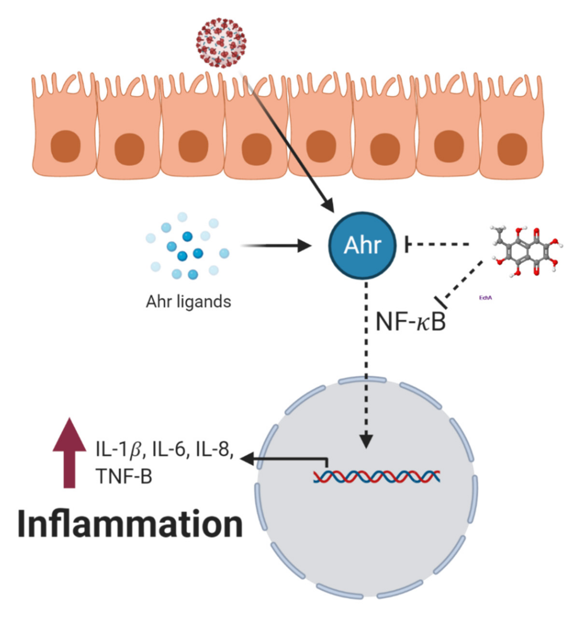 Marinedrugs 19 00267 g004