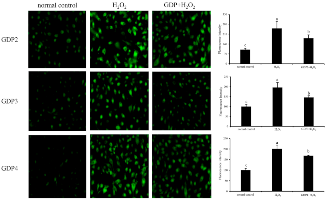 Marinedrugs 19 00270 g004 Marinedrugs 19 00270 g004