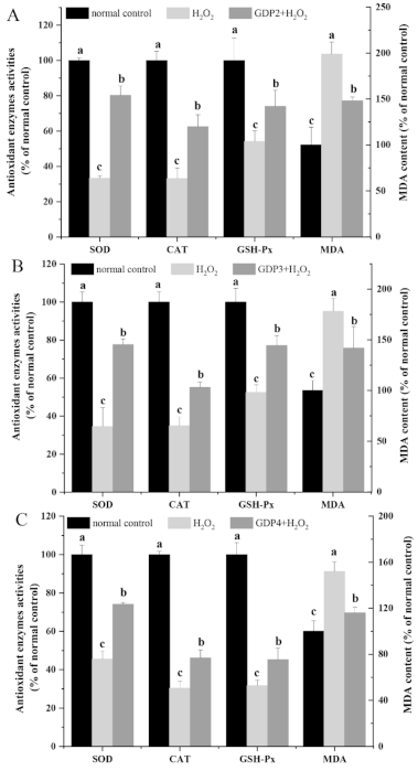Marinedrugs 19 00270 g005 Marinedrugs 19 00270 g005
