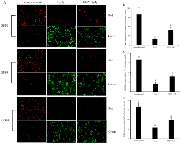 Marinedrugs 19 00270 g006 Marinedrugs 19 00270 g006