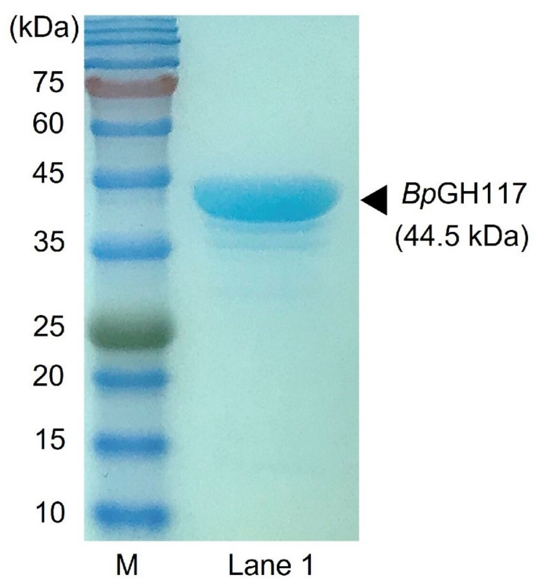 Marinedrugs 19 00271 g001