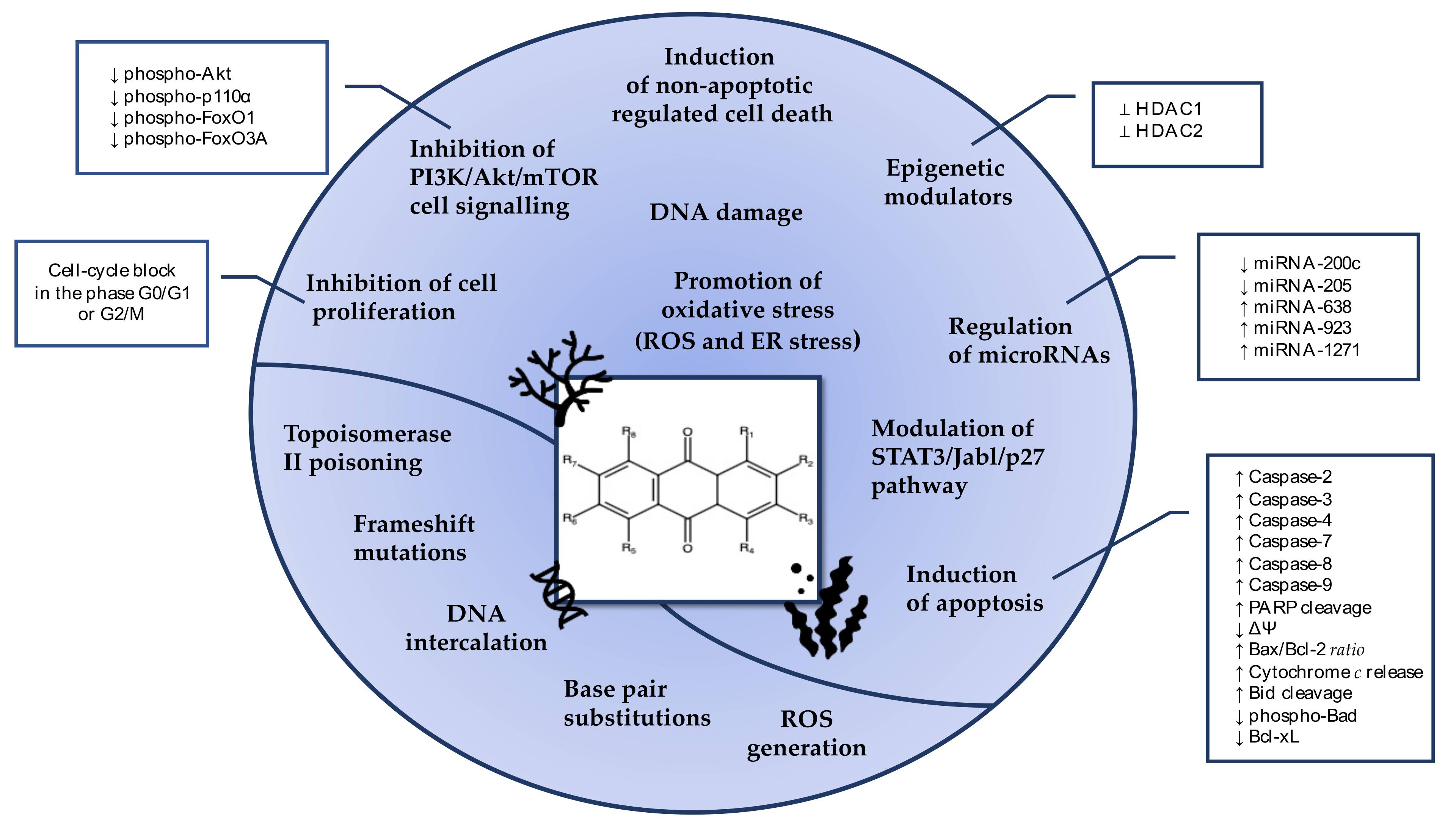 Marinedrugs 19 00272 g017 Marinedrugs 19 00272 g017