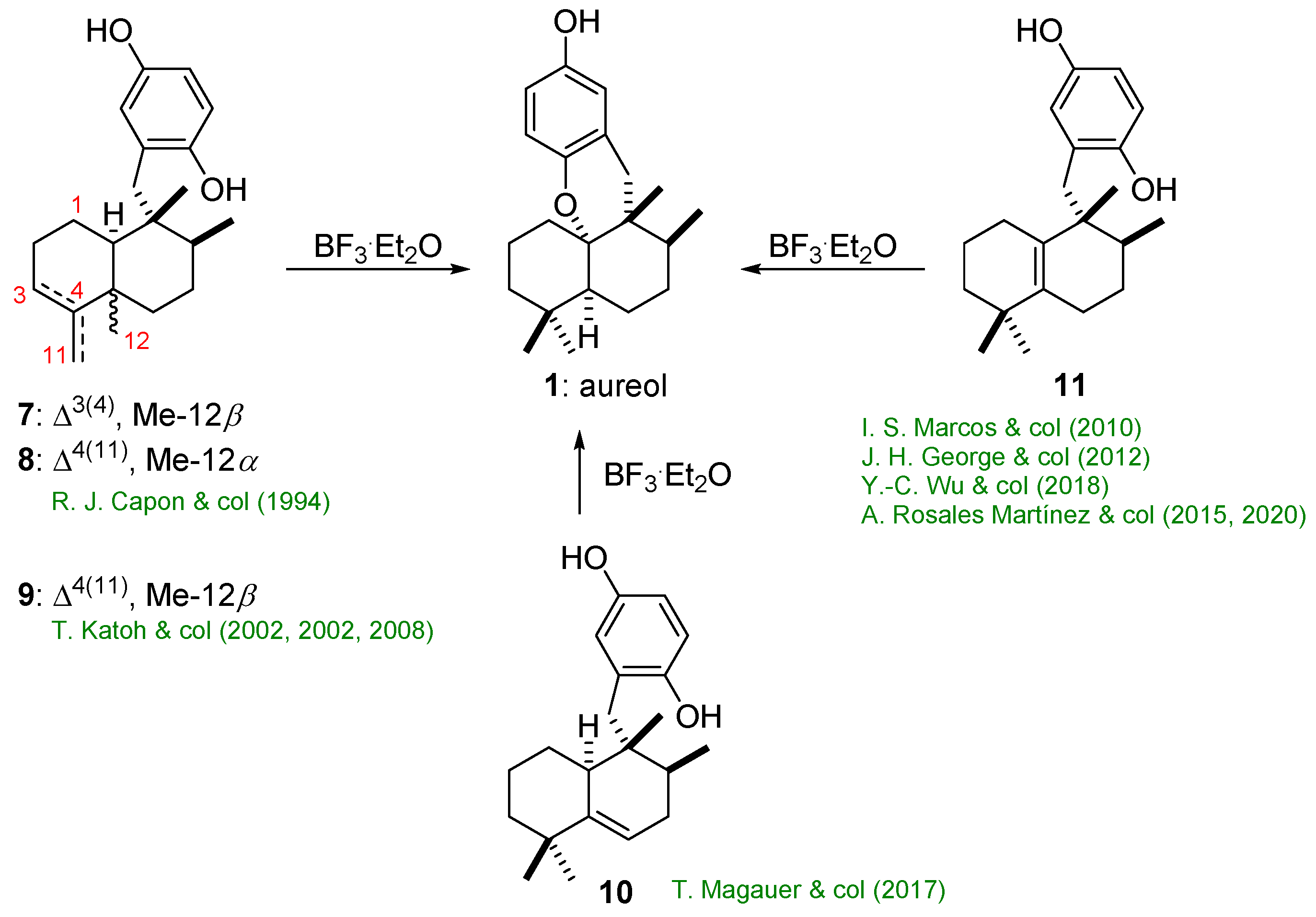 Marinedrugs 19 00273 sch003 Marinedrugs 19 00273 sch003